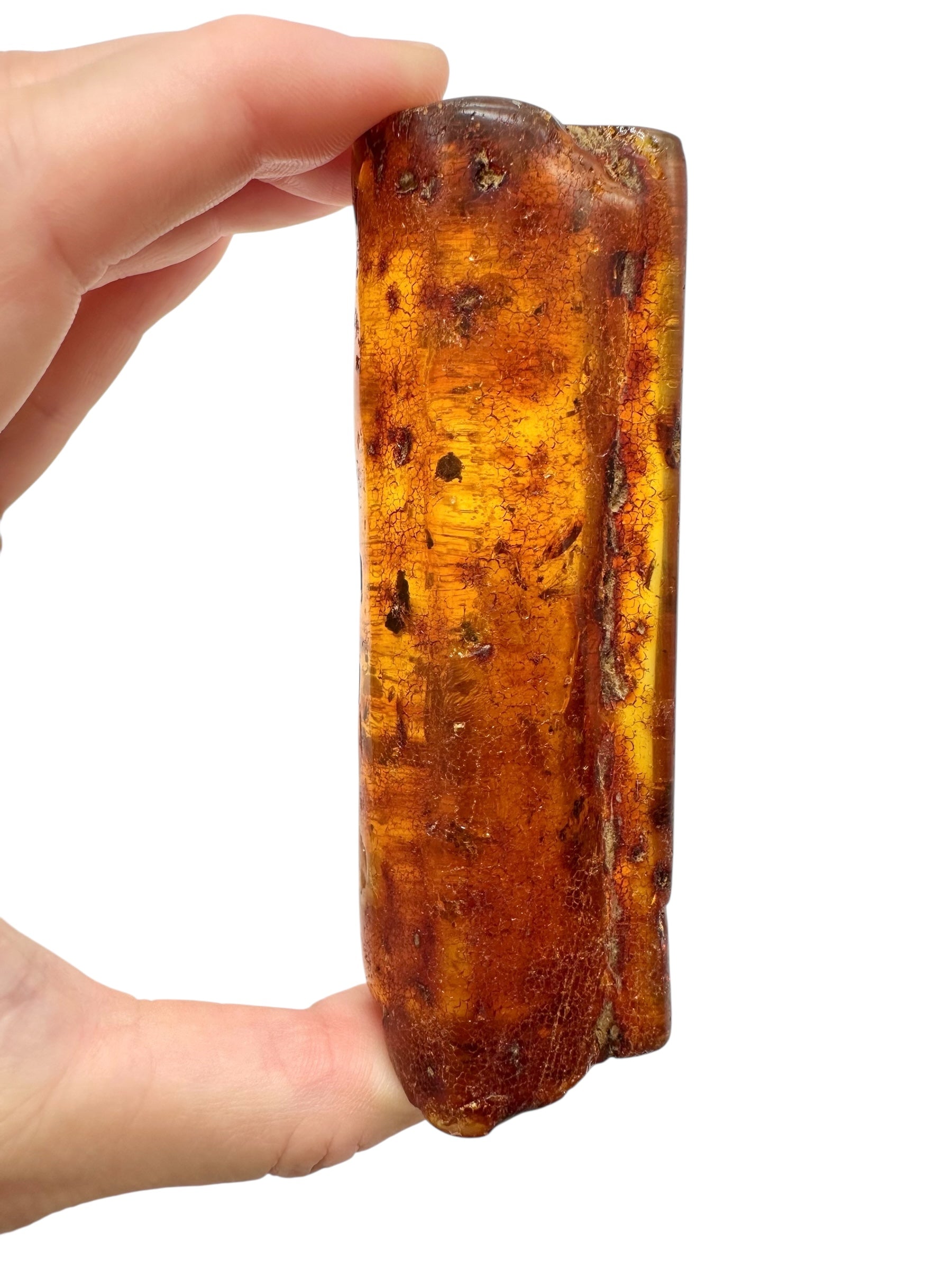 Insects in young amber (copal) 58,7g – Colombia