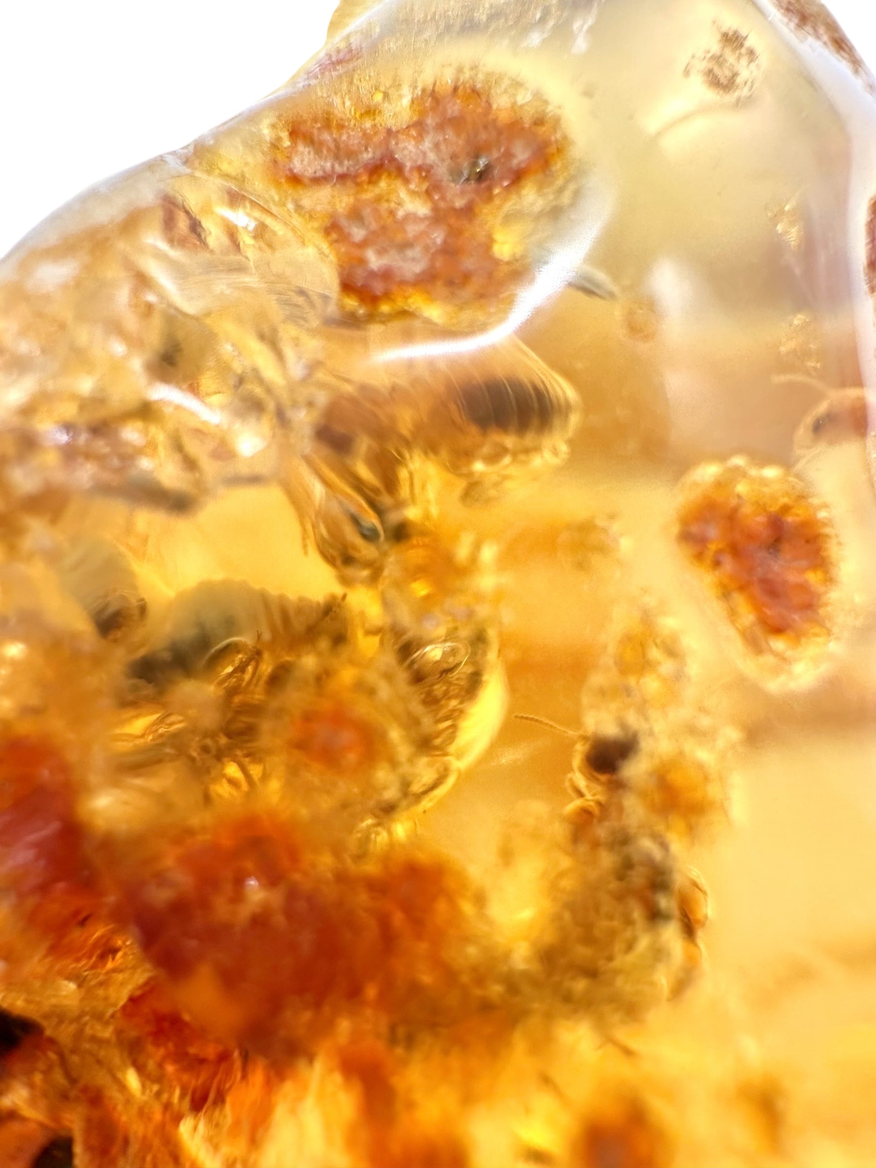 Insects in young amber (copal) 75g – Colombia - IK51