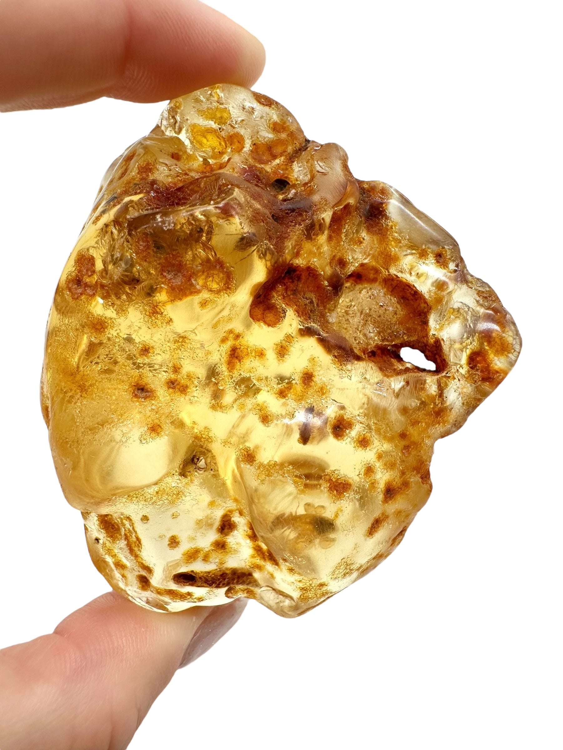 Insects in young amber (copal) 75g – Colombia