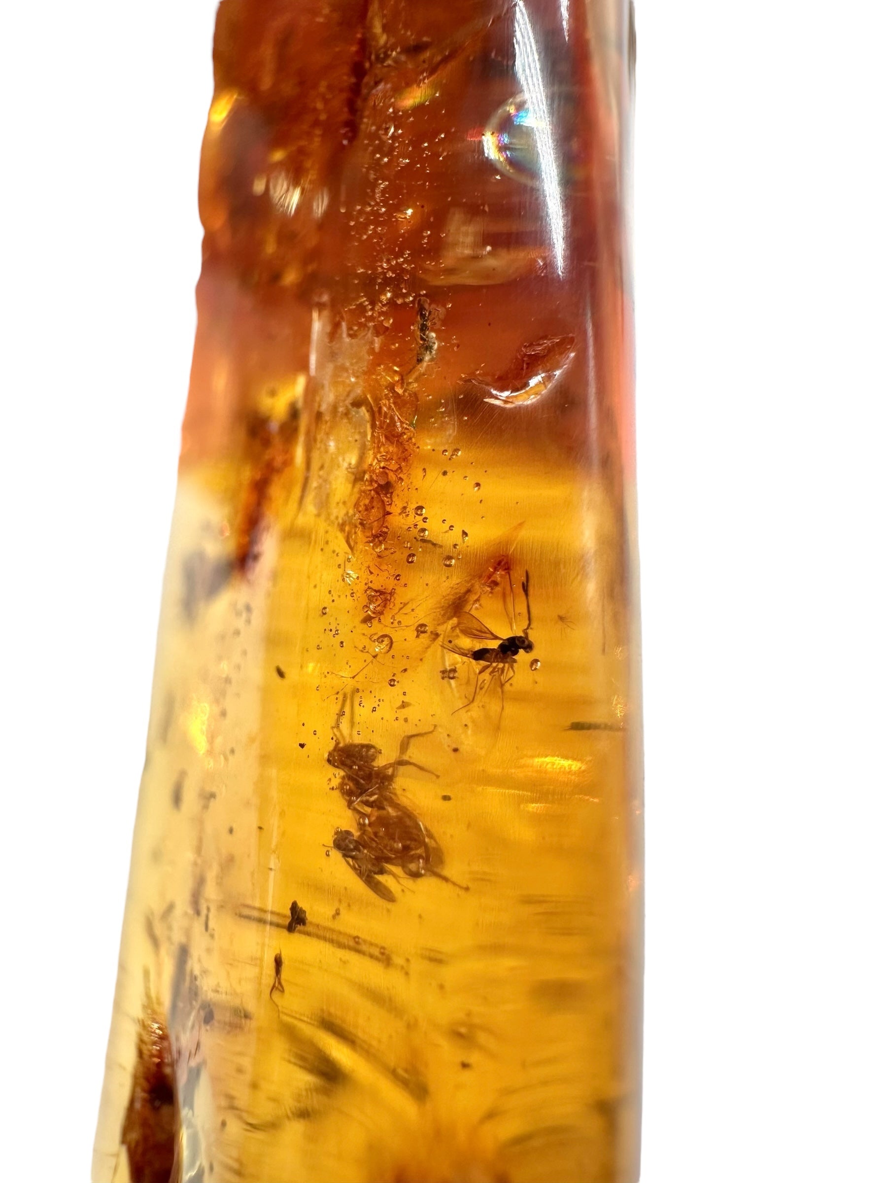 Insects in young amber (copal) 53,3g – Colombia - IK52