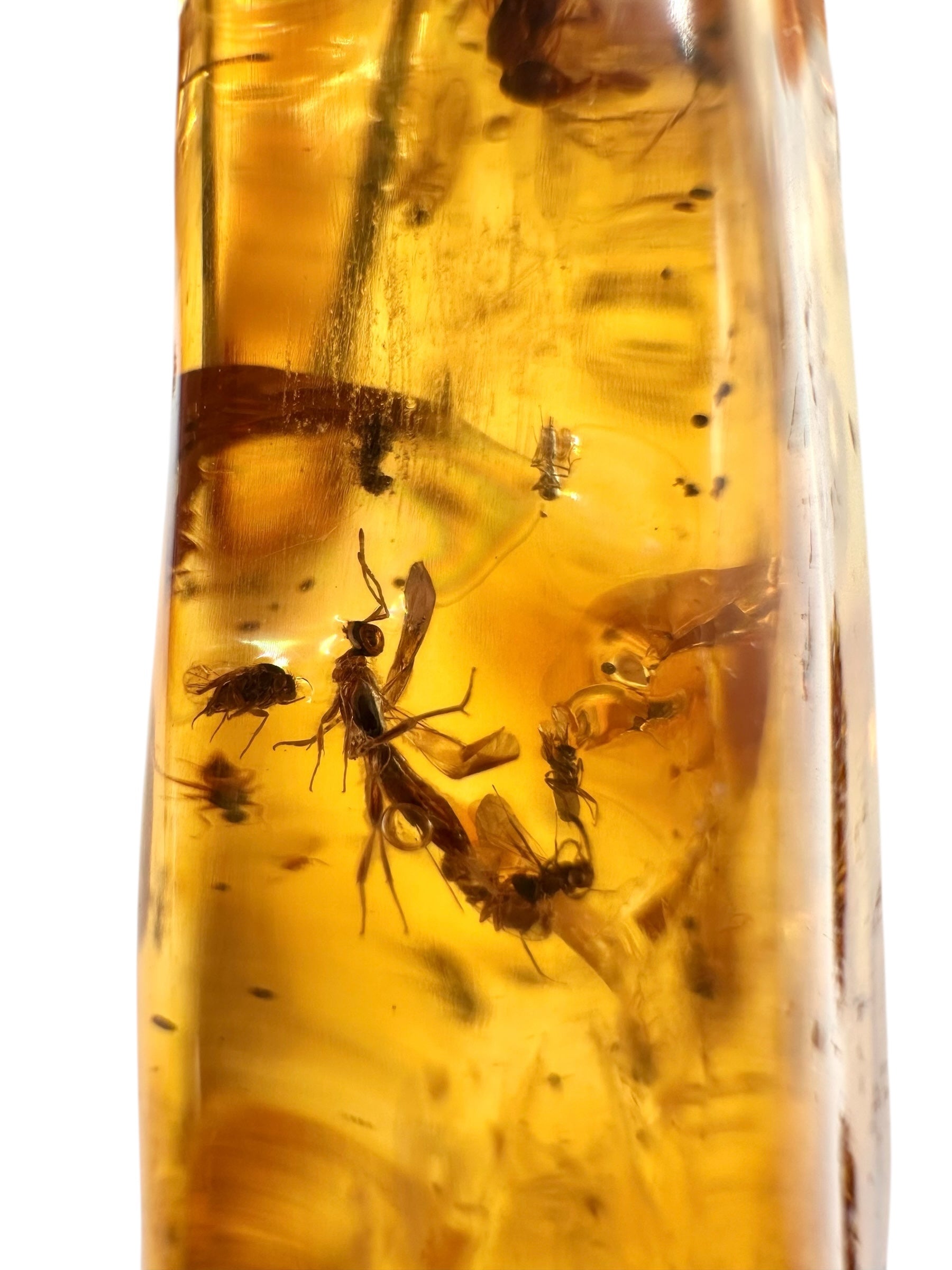 Insects in young amber (copal) 53,3g – Colombia - IK52