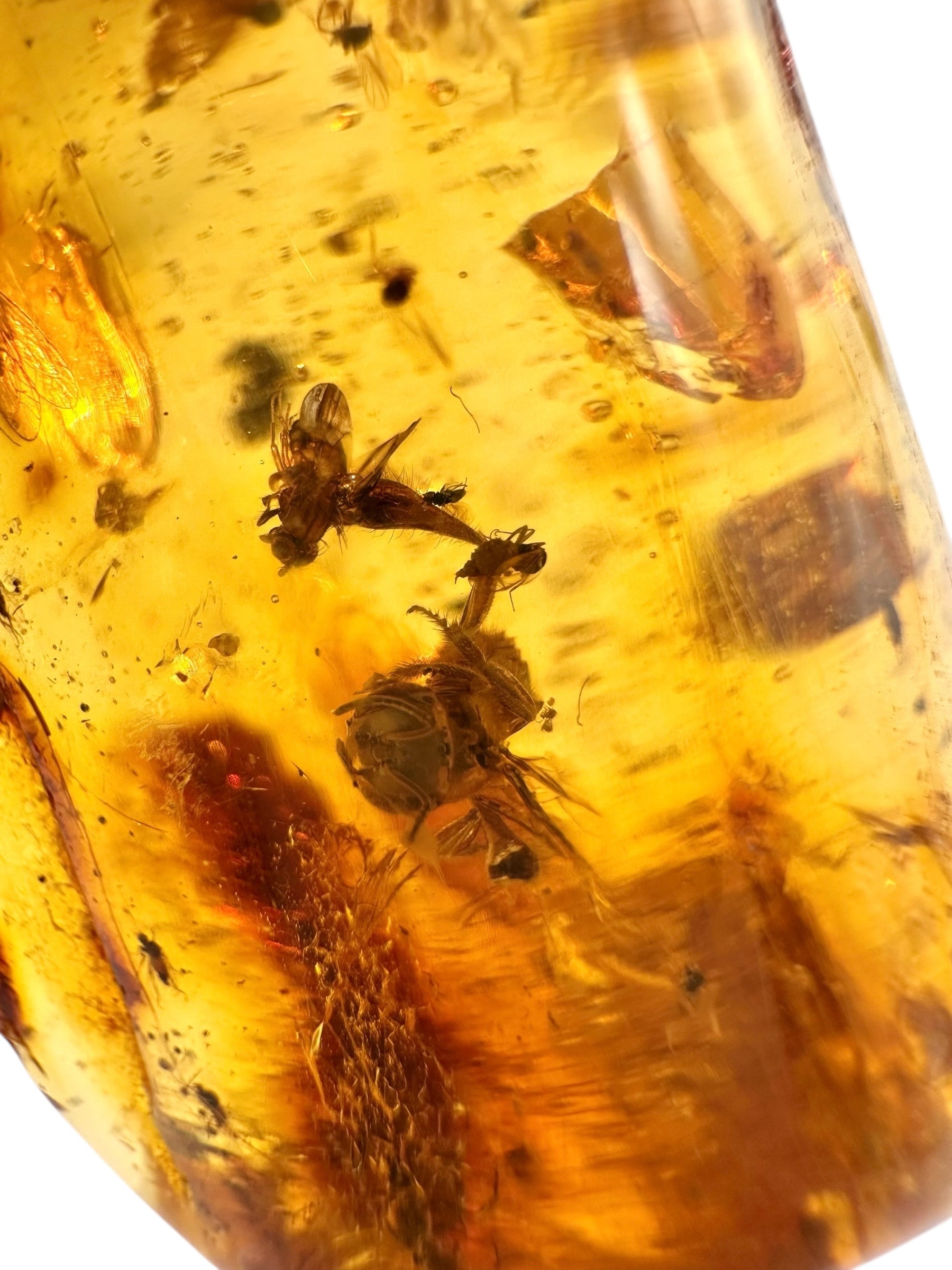 Insects in young amber (copal) 53,3g – Colombia - IK52