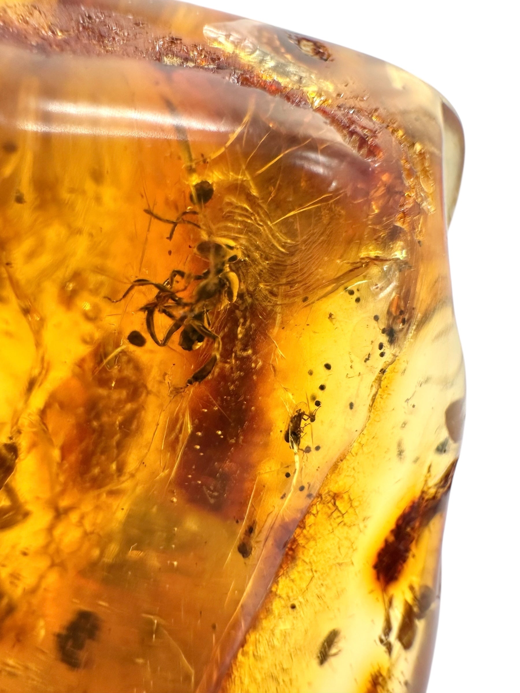 Insects in young amber (copal) 53,3g – Colombia - IK52
