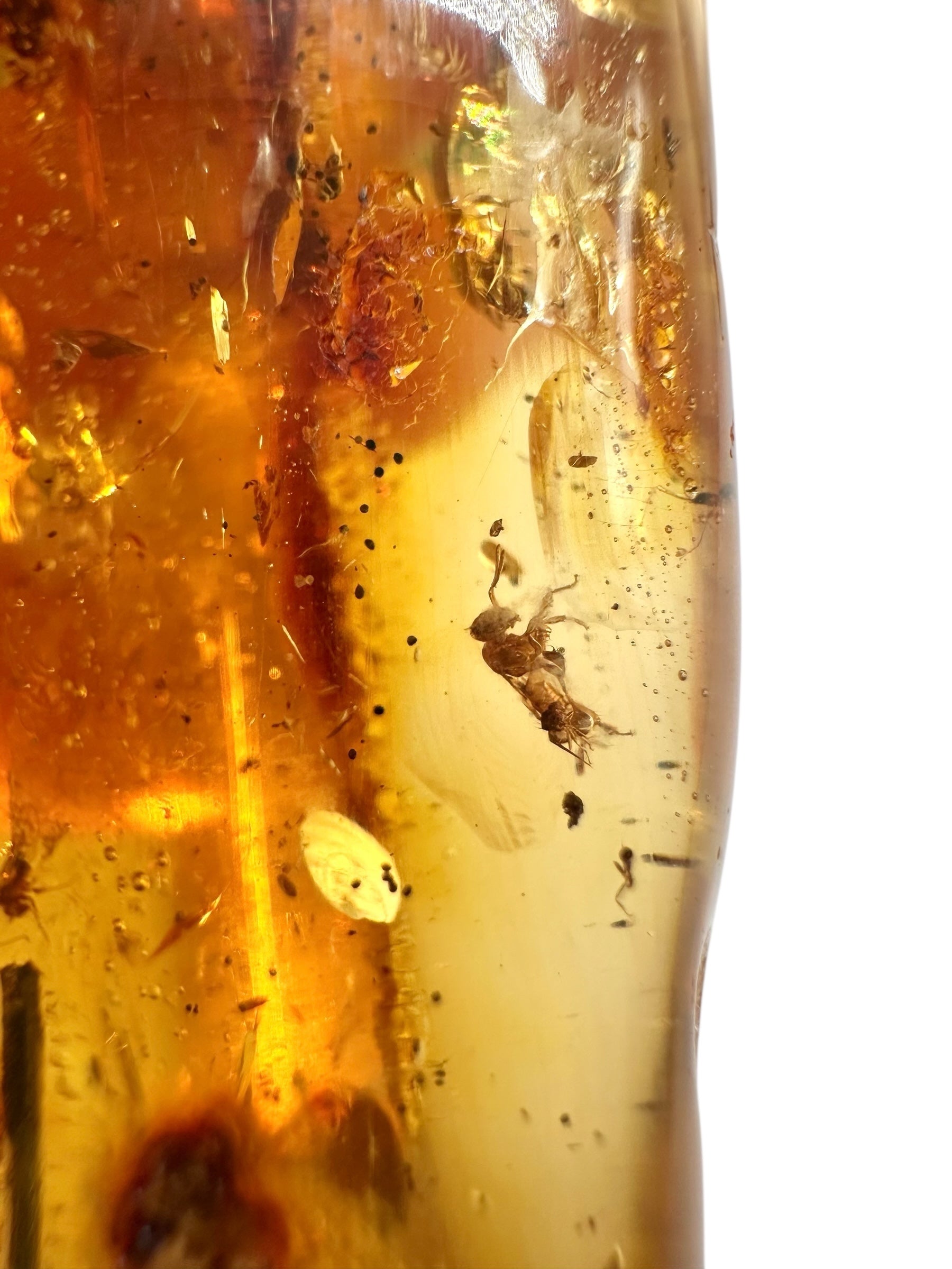 Insects in young amber (copal) 53,3g – Colombia - IK52