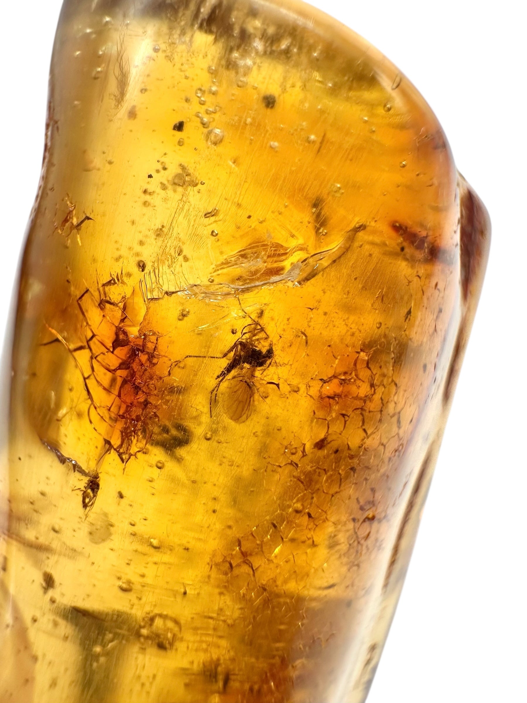 Insects in young amber (copal) 53,3g – Colombia - IK52