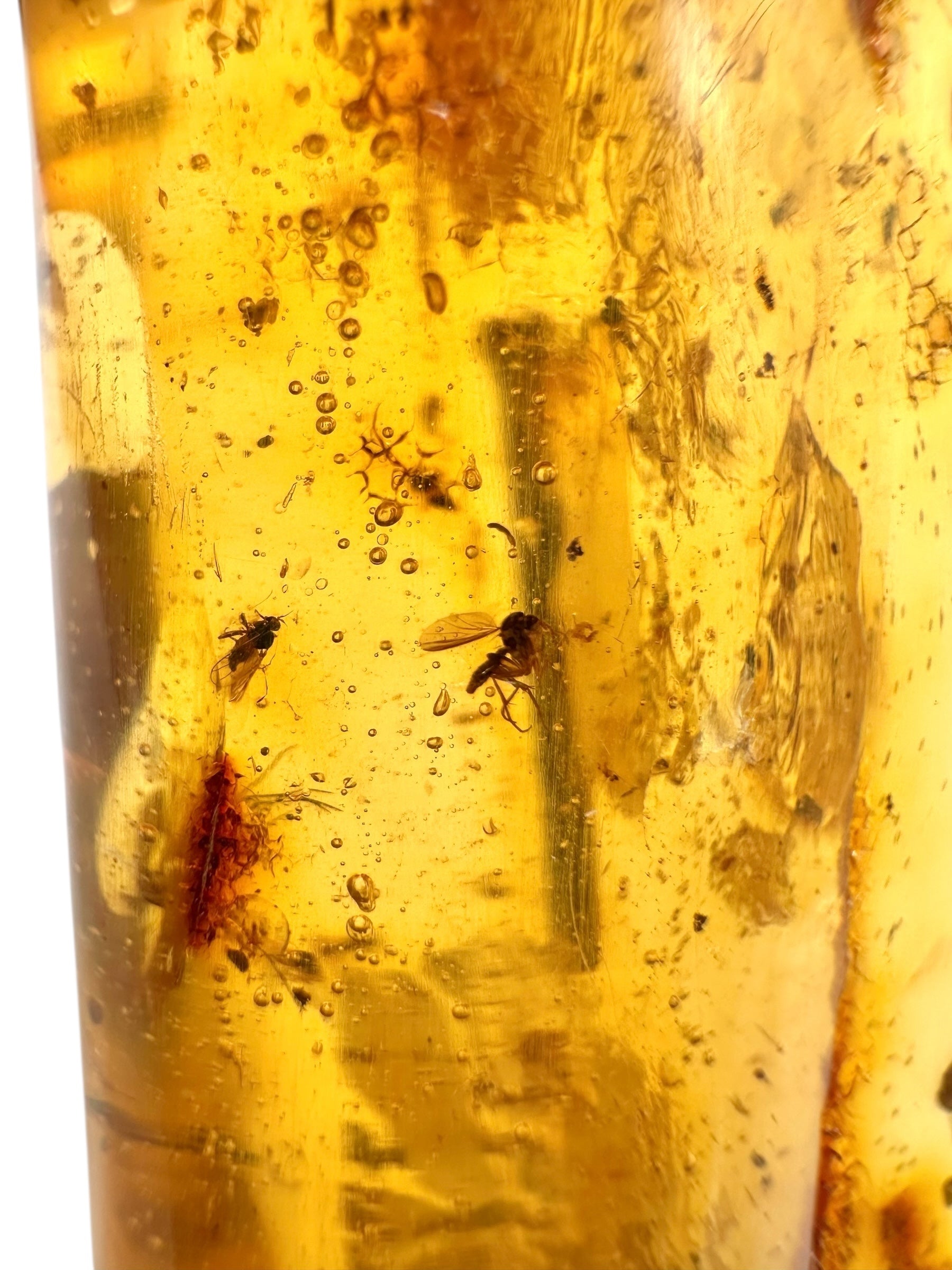 Insects in young amber (copal) 53,3g – Colombia - IK52