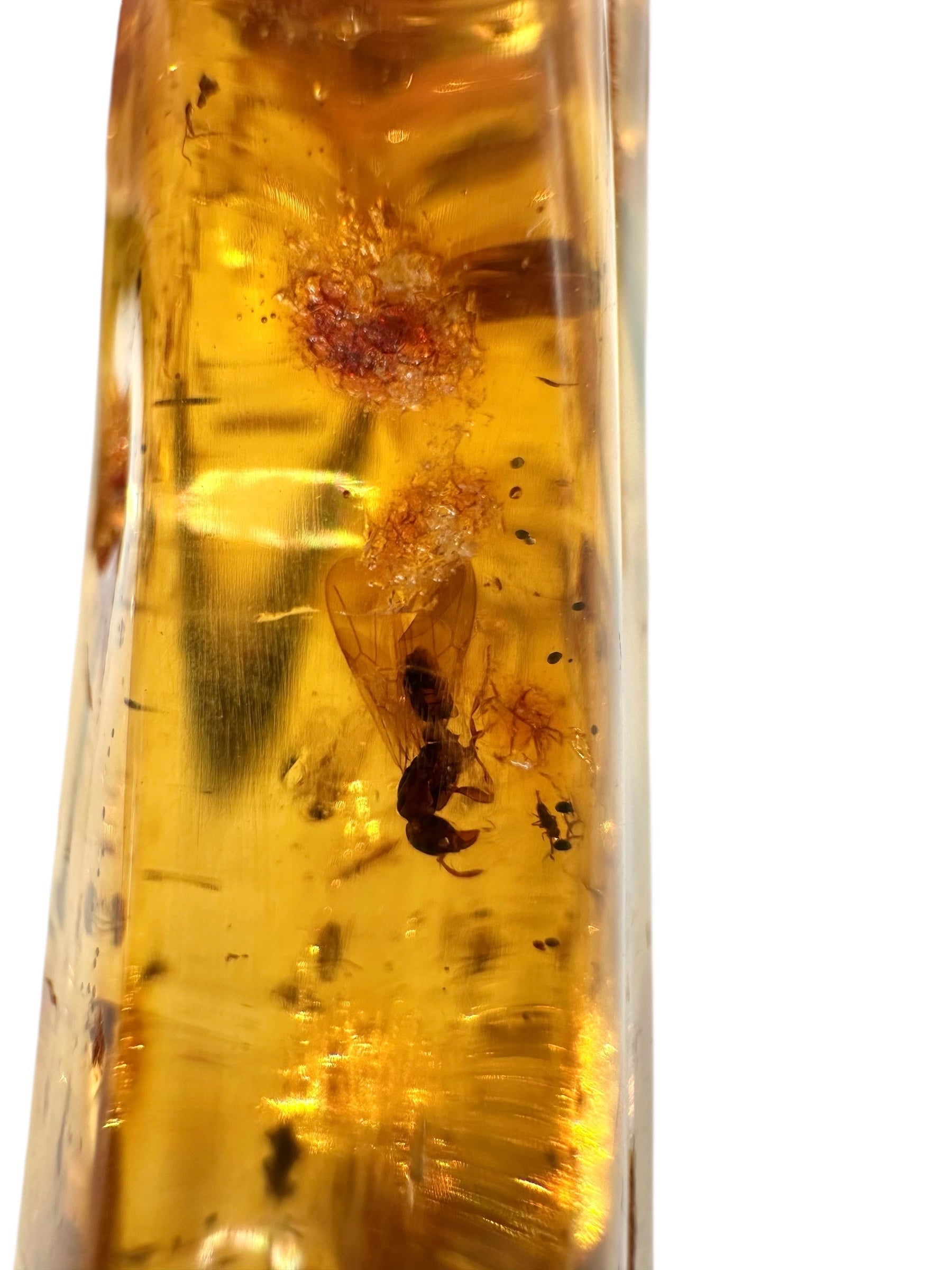 Insects in young amber (copal) 53,3g – Colombia - IK52