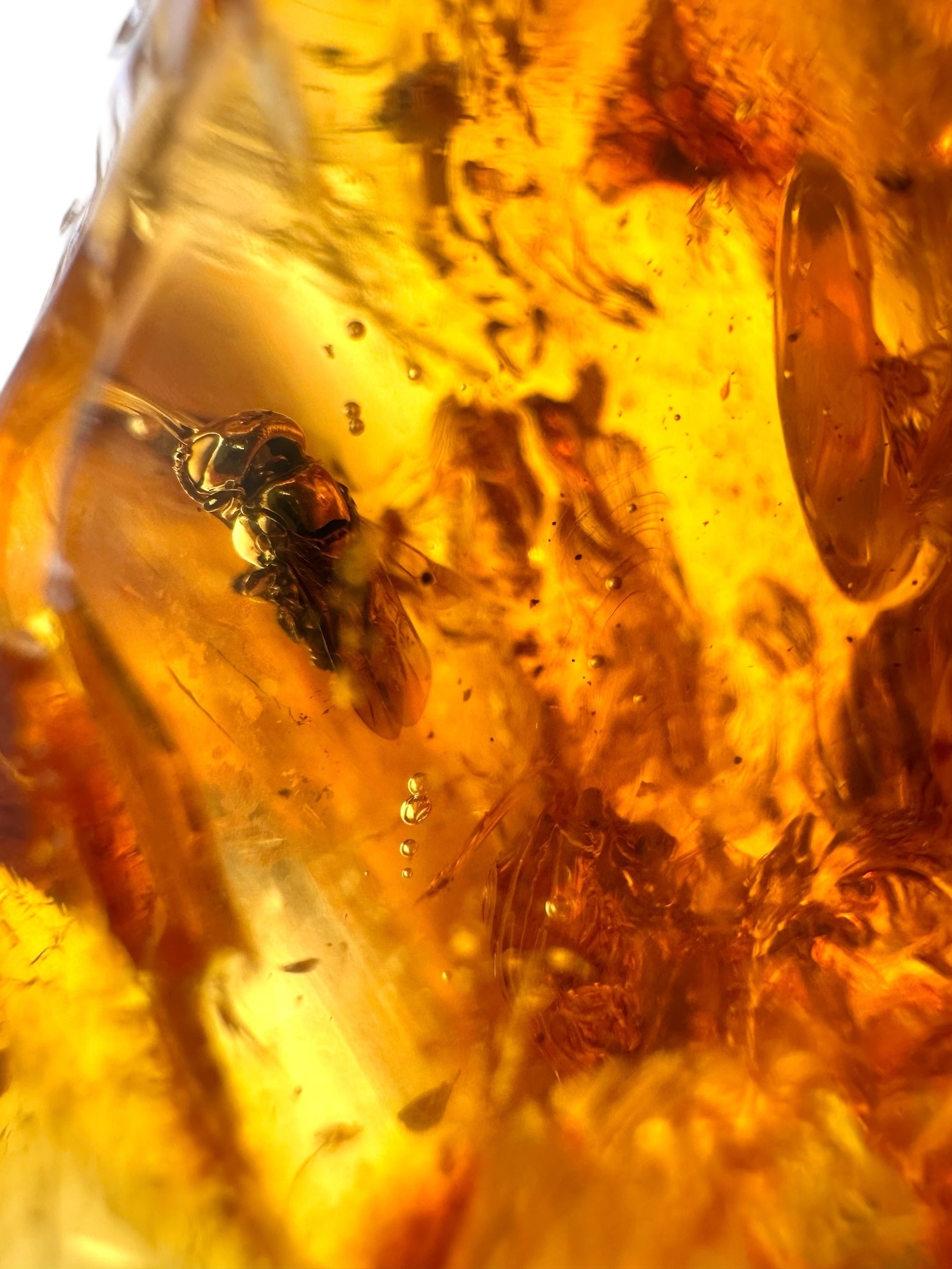 Insects in young amber (copal) 199,7g – Colombia - IK53