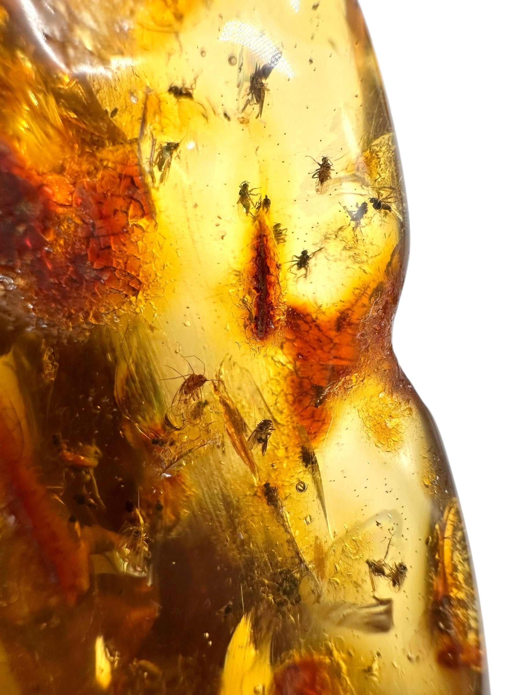 Insects in young amber (copal) 199,7g – Colombia - IK53
