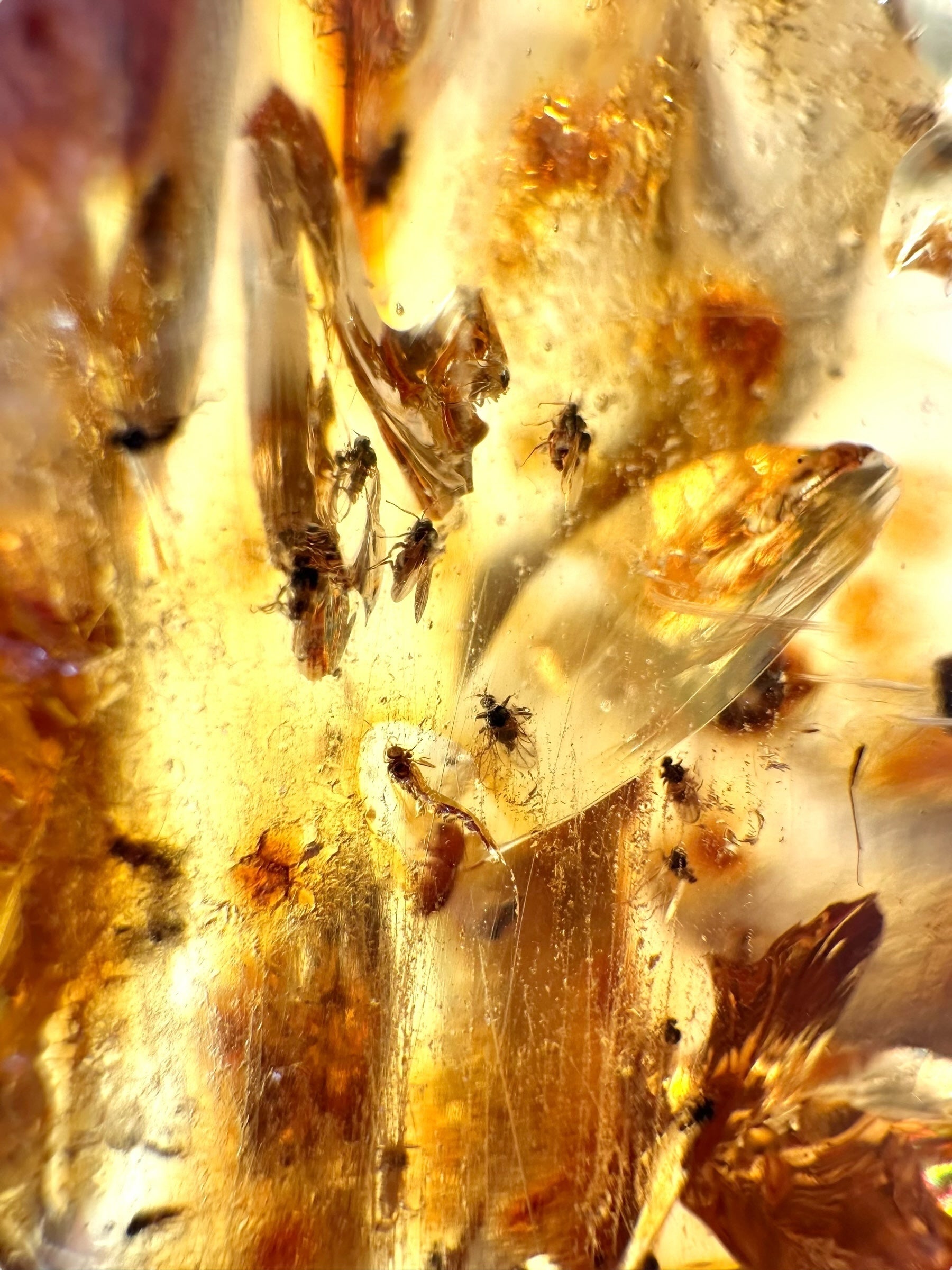 Insects in young amber (copal) 199,7g – Colombia - IK53