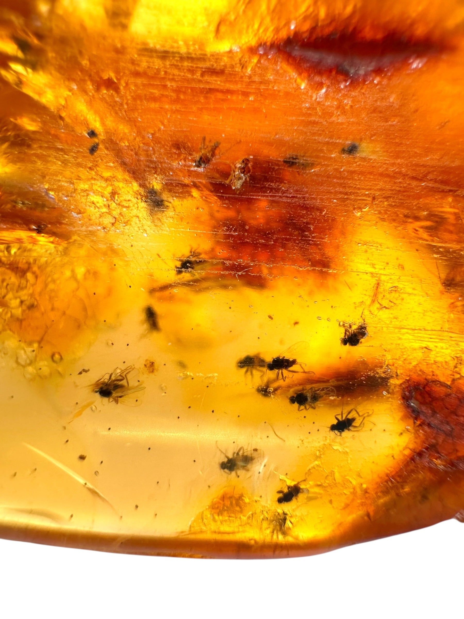 Insects in young amber (copal) 199,7g – Colombia - IK53