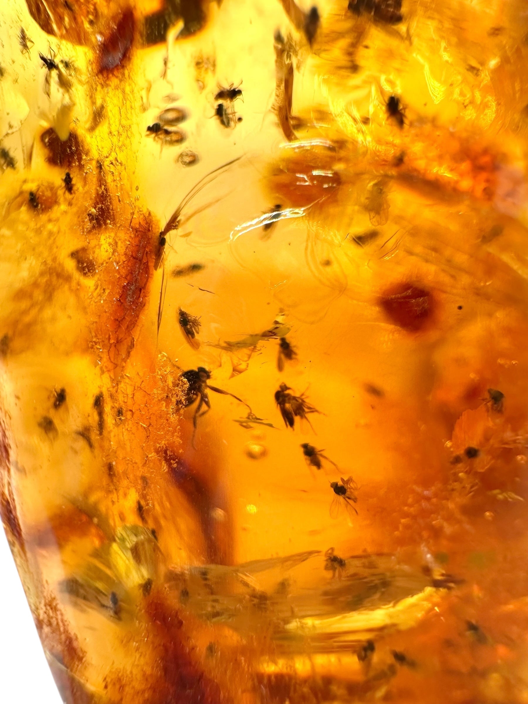 Insects in young amber (copal) 199,7g – Colombia - IK53