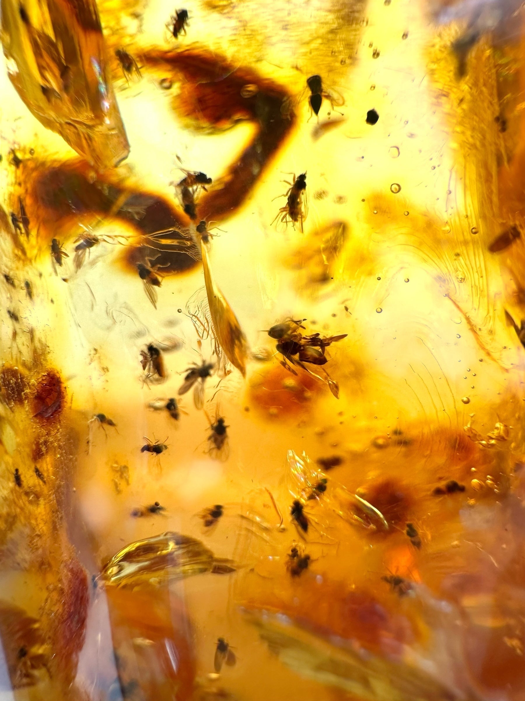 Insects in young amber (copal) 199,7g – Colombia - IK53