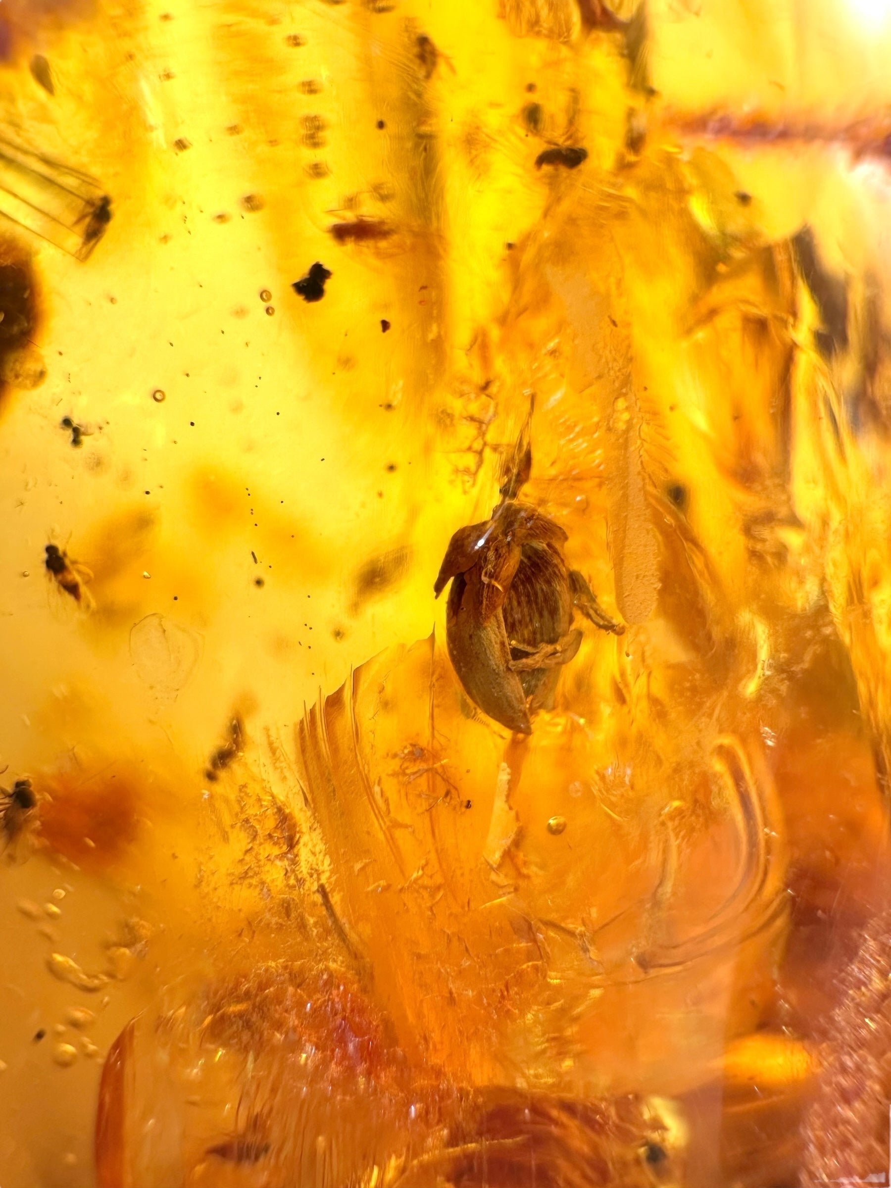 Insects in young amber (copal) 199,7g – Colombia - IK53