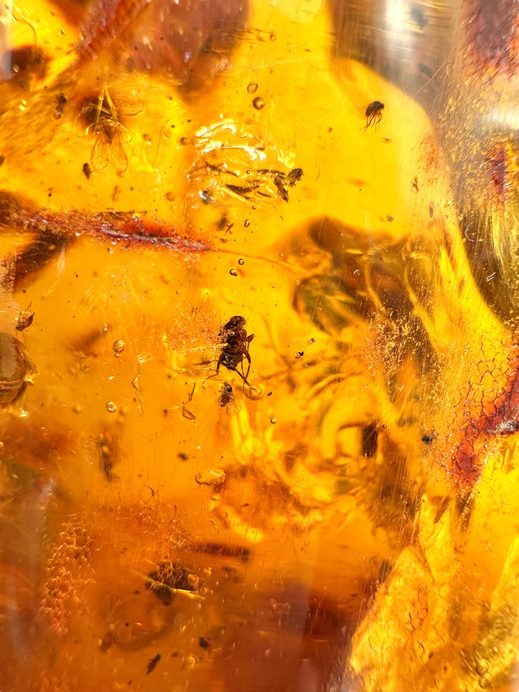 Insects in young amber (copal) 199,7g – Colombia - IK53