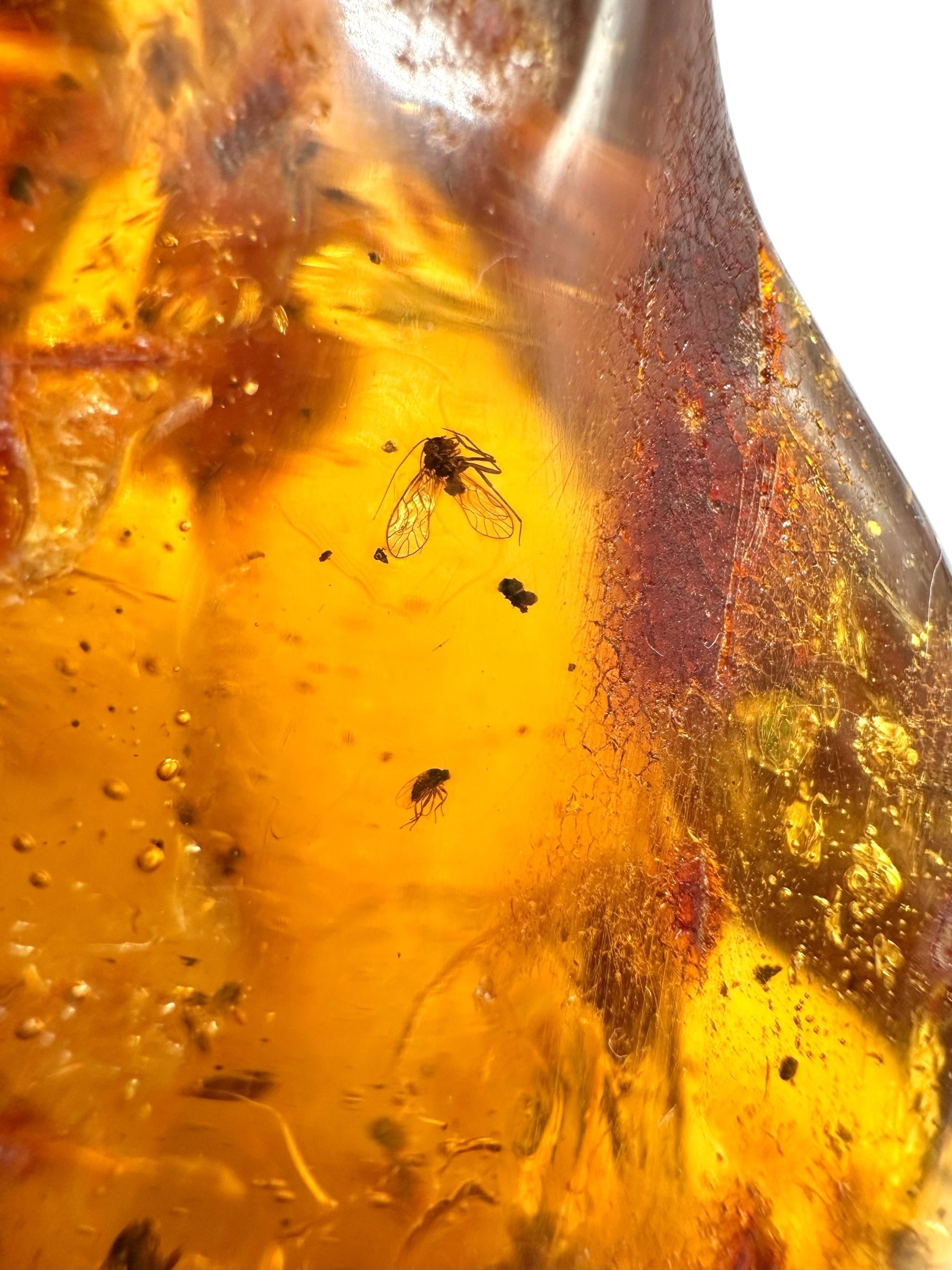 Insects in young amber (copal) 199,7g – Colombia - IK53