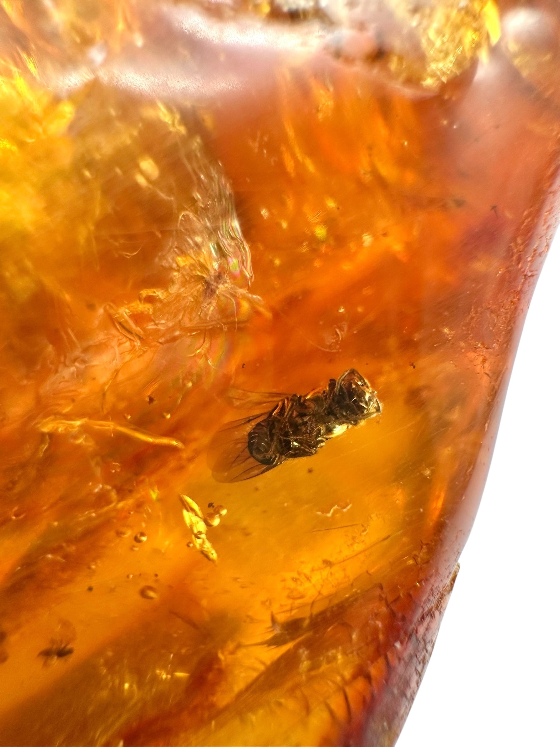 Insects in young amber (copal) 199,7g – Colombia - IK53