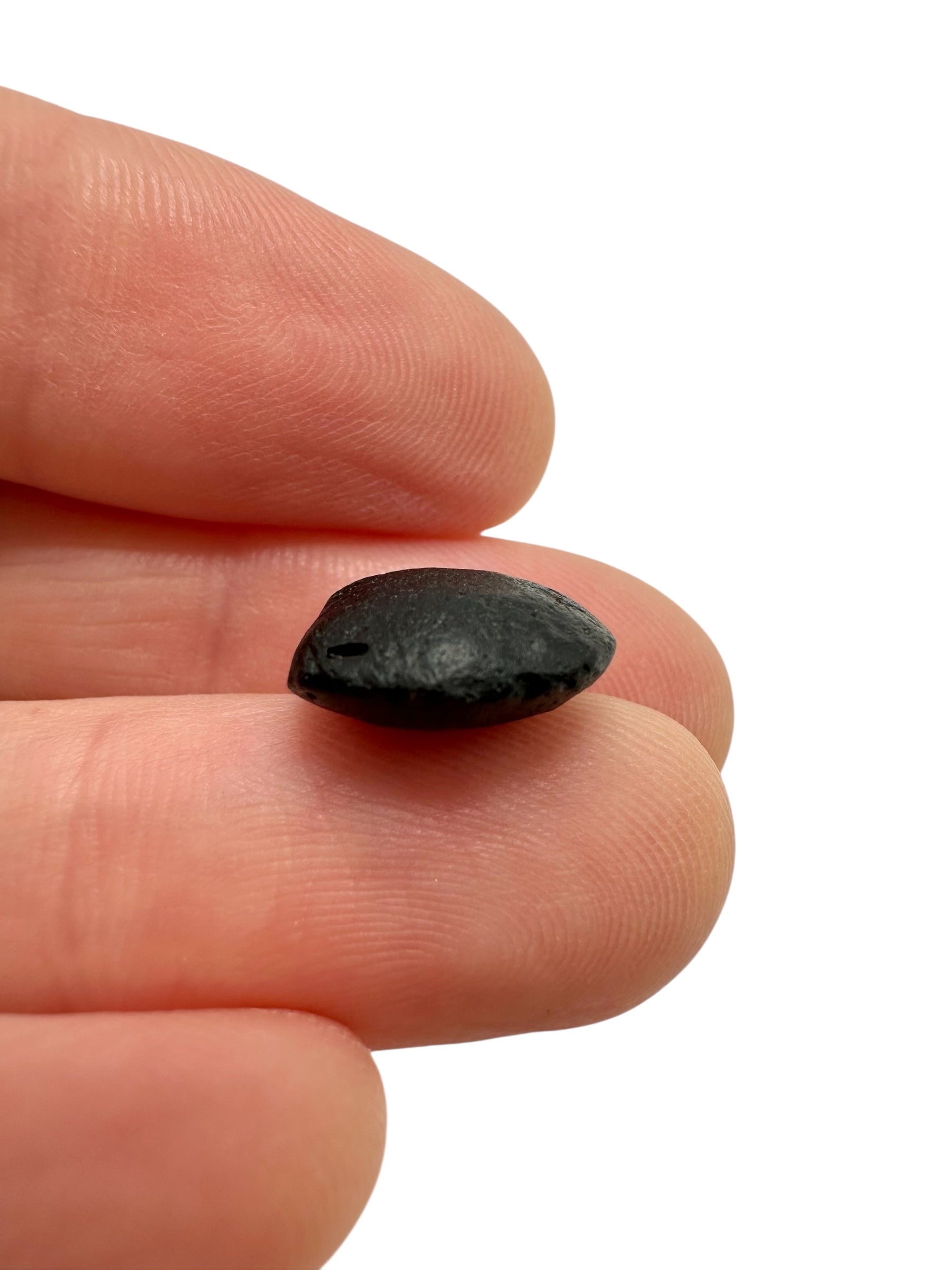 Australite "button" 0,9g – Kalgoorlie, Western Australia - AU106