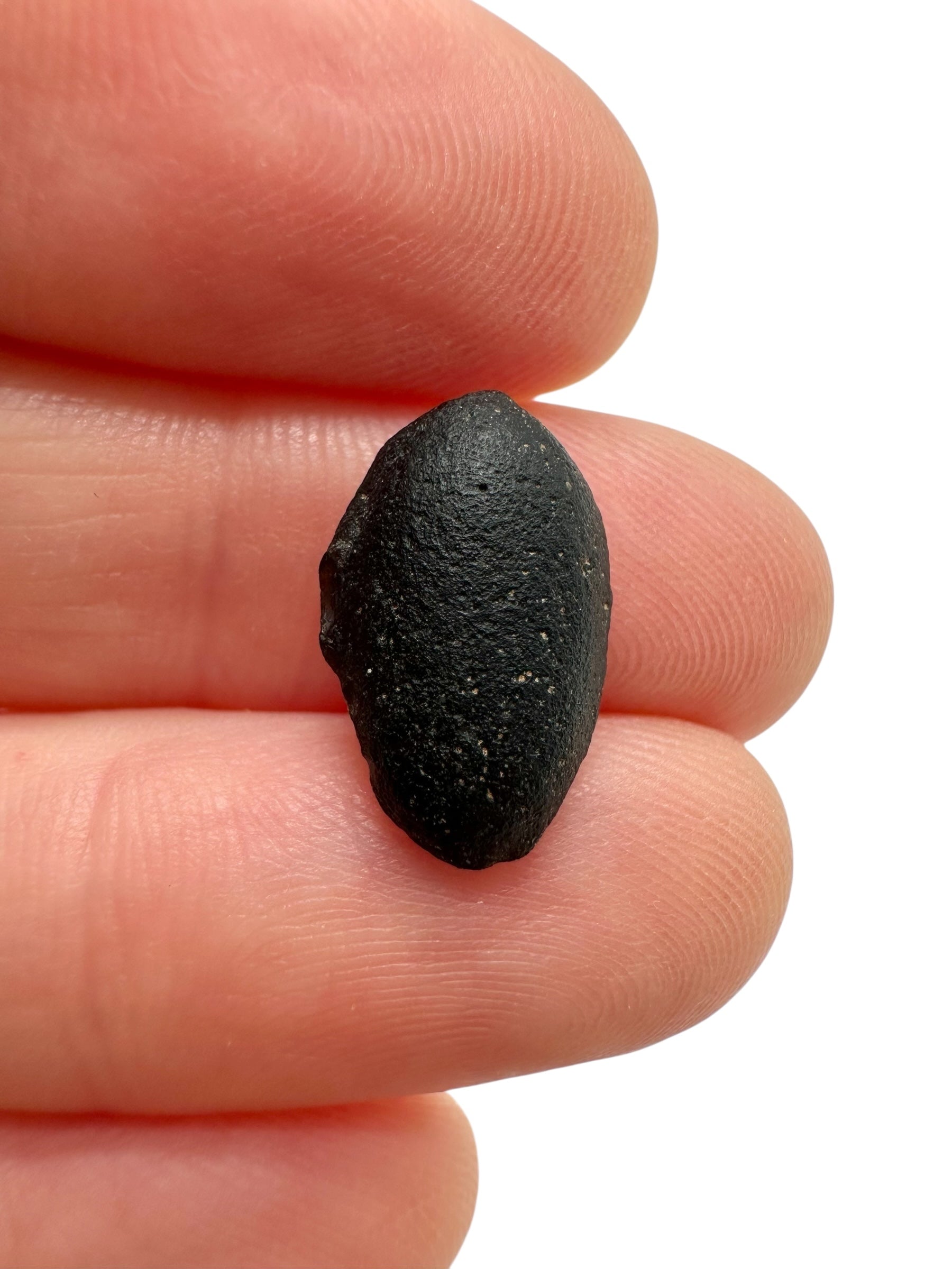 Australite "button" 0,7g – Kalgoorlie, Western Australia - AU107