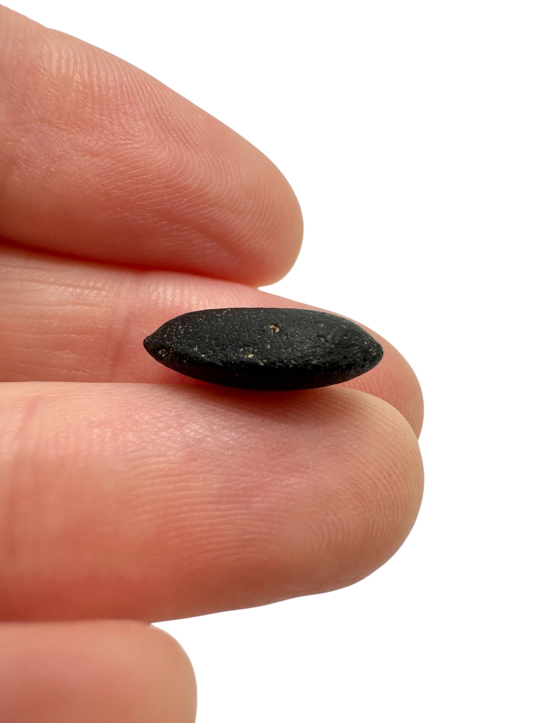 Australite "button" 0,7g – Kalgoorlie, Western Australia - AU107