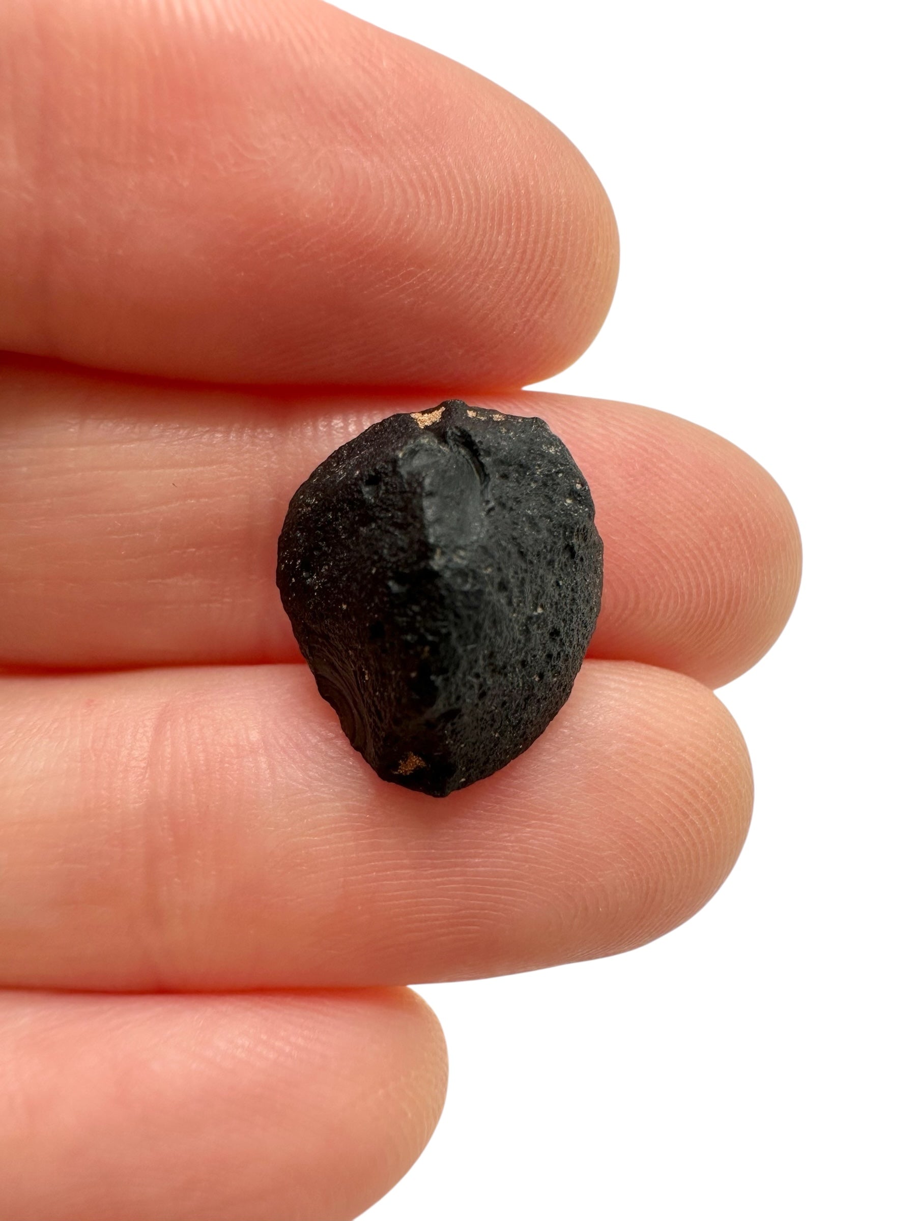 Australite "button" 1,4g – Kalgoorlie, Western Australia - AU108