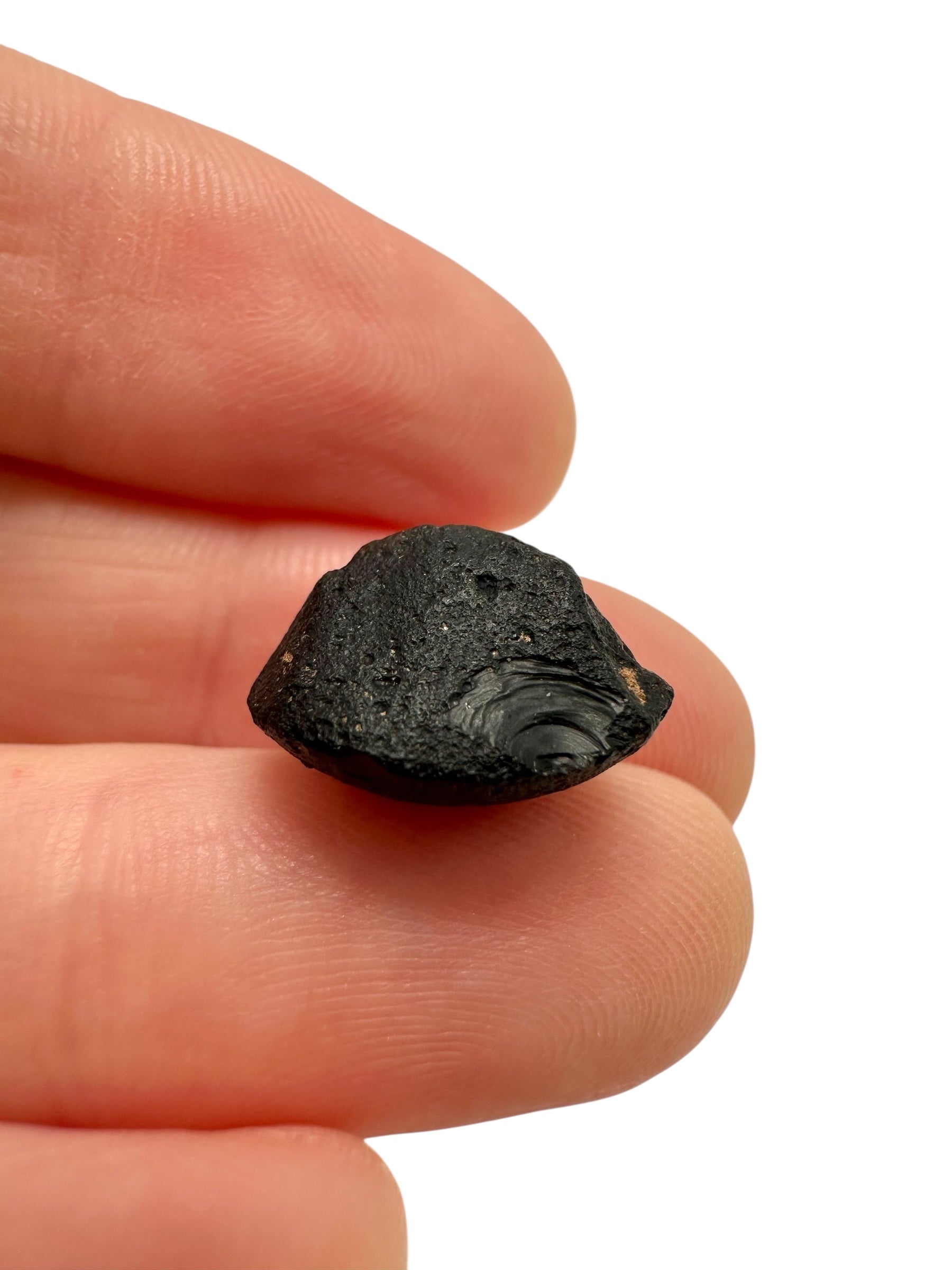Australite "button" 1,4g – Kalgoorlie, Western Australia - AU108