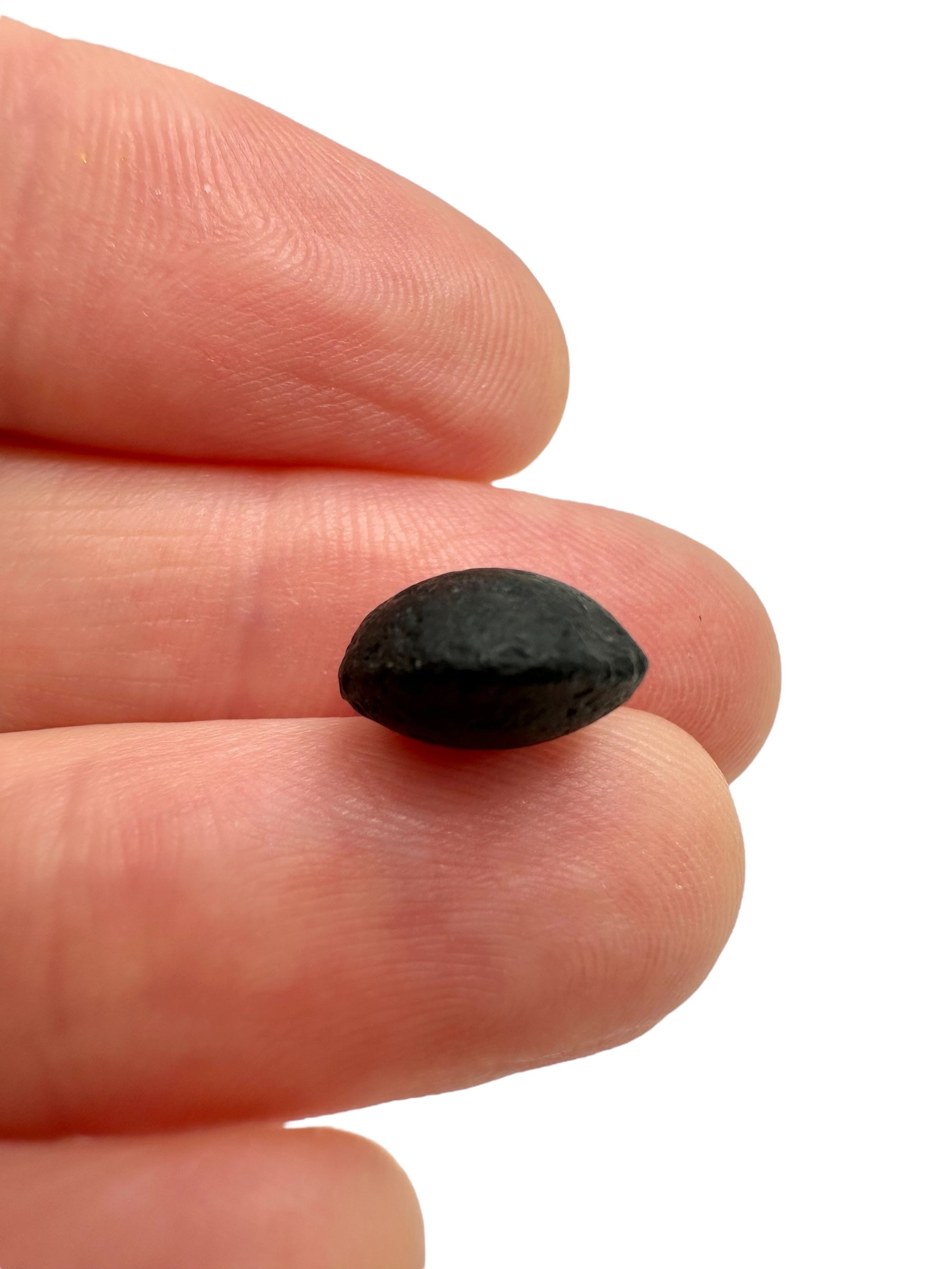 Australite "button" 0,7g – Kalgoorlie, Western Australia - AU110