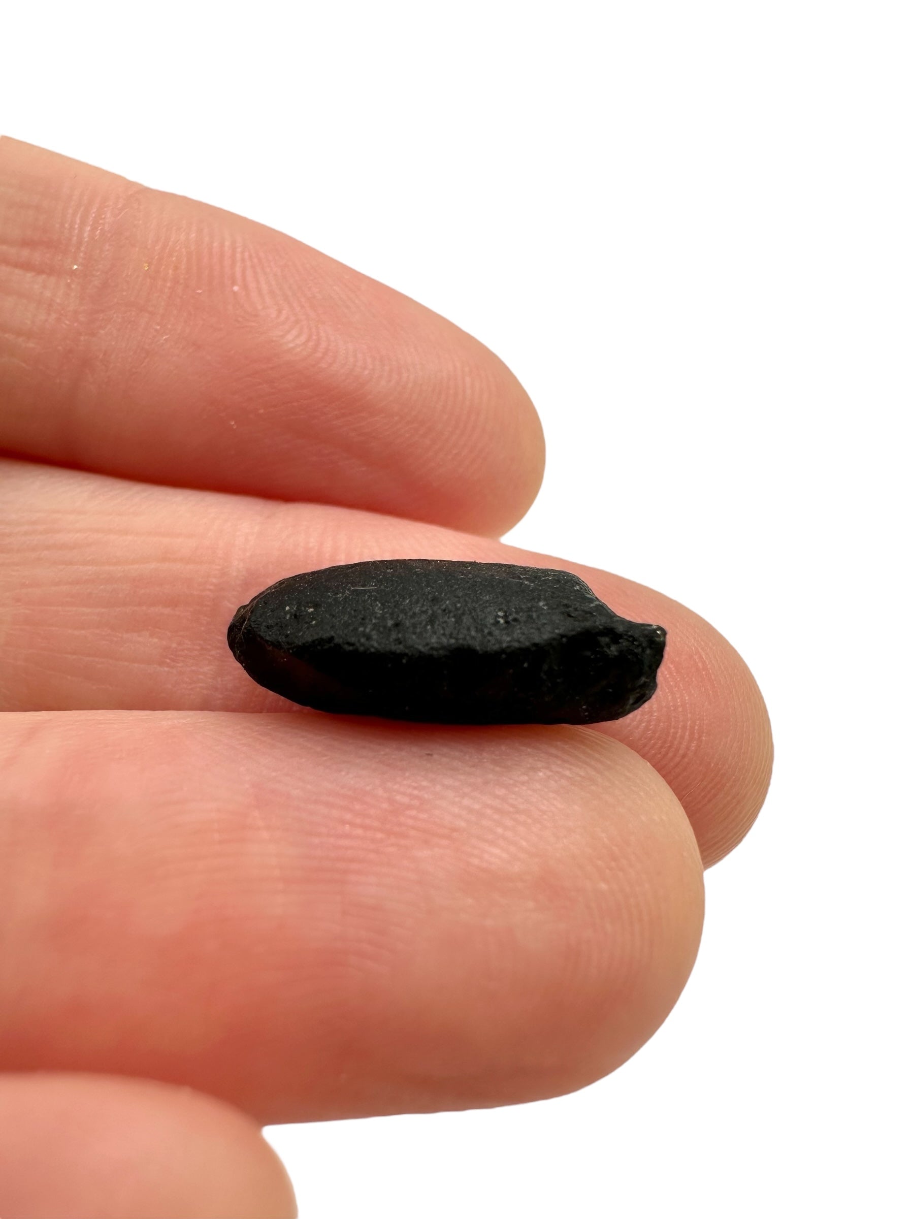Australite "button" 0,9g – Kalgoorlie, Western Australia - AU111