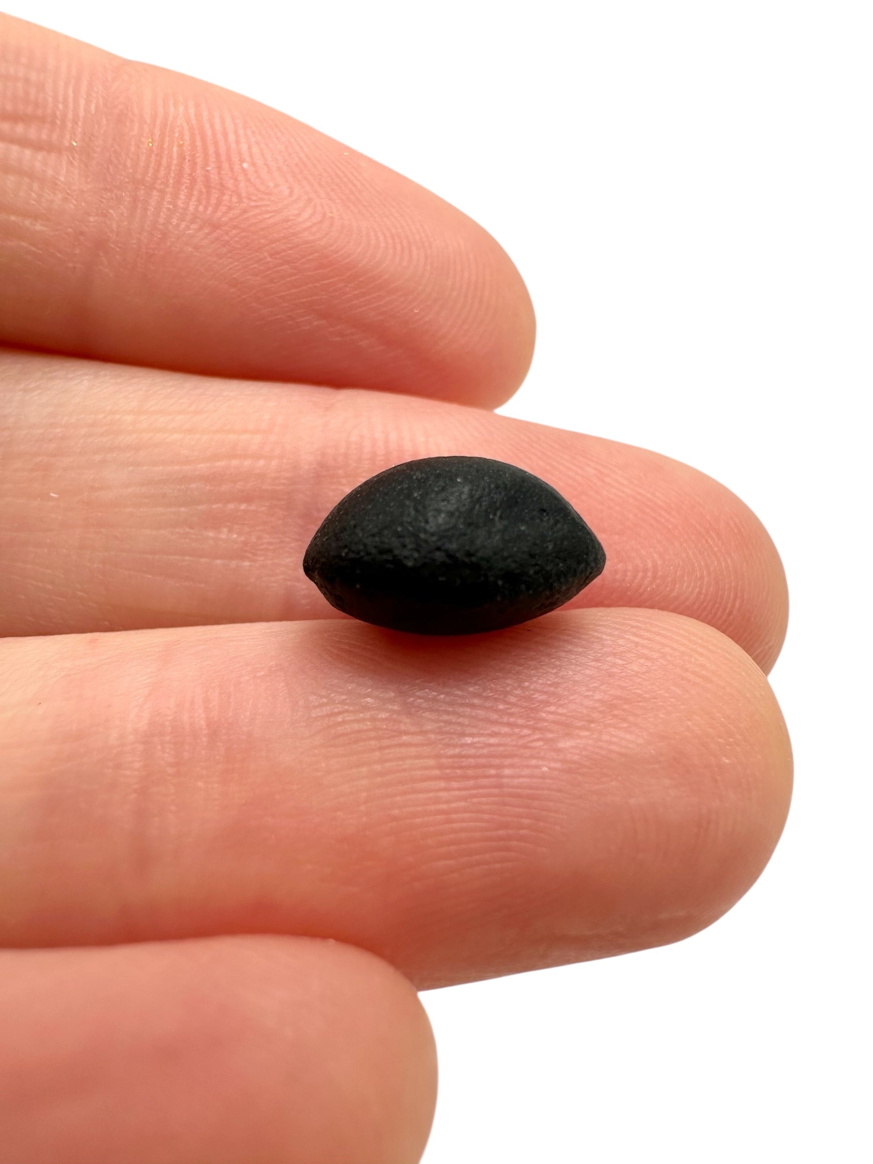 Australite "button" 0,8g – Kalgoorlie, Western Australia - AU112