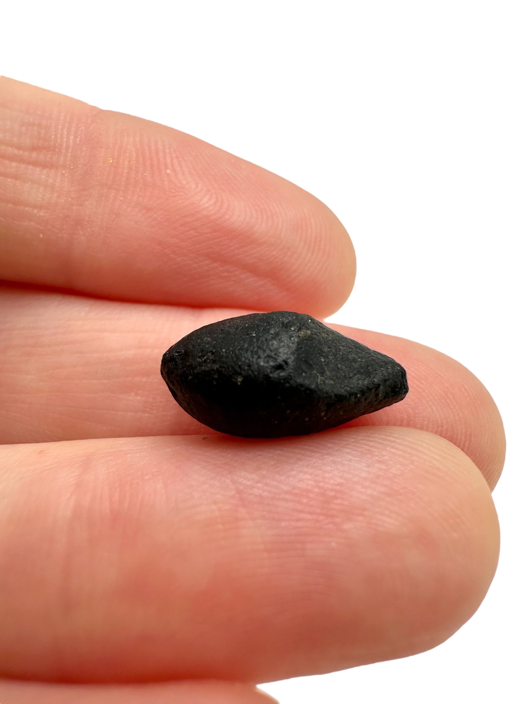 Australite "button" 1,1g – Kalgoorlie, Western Australia - AU113