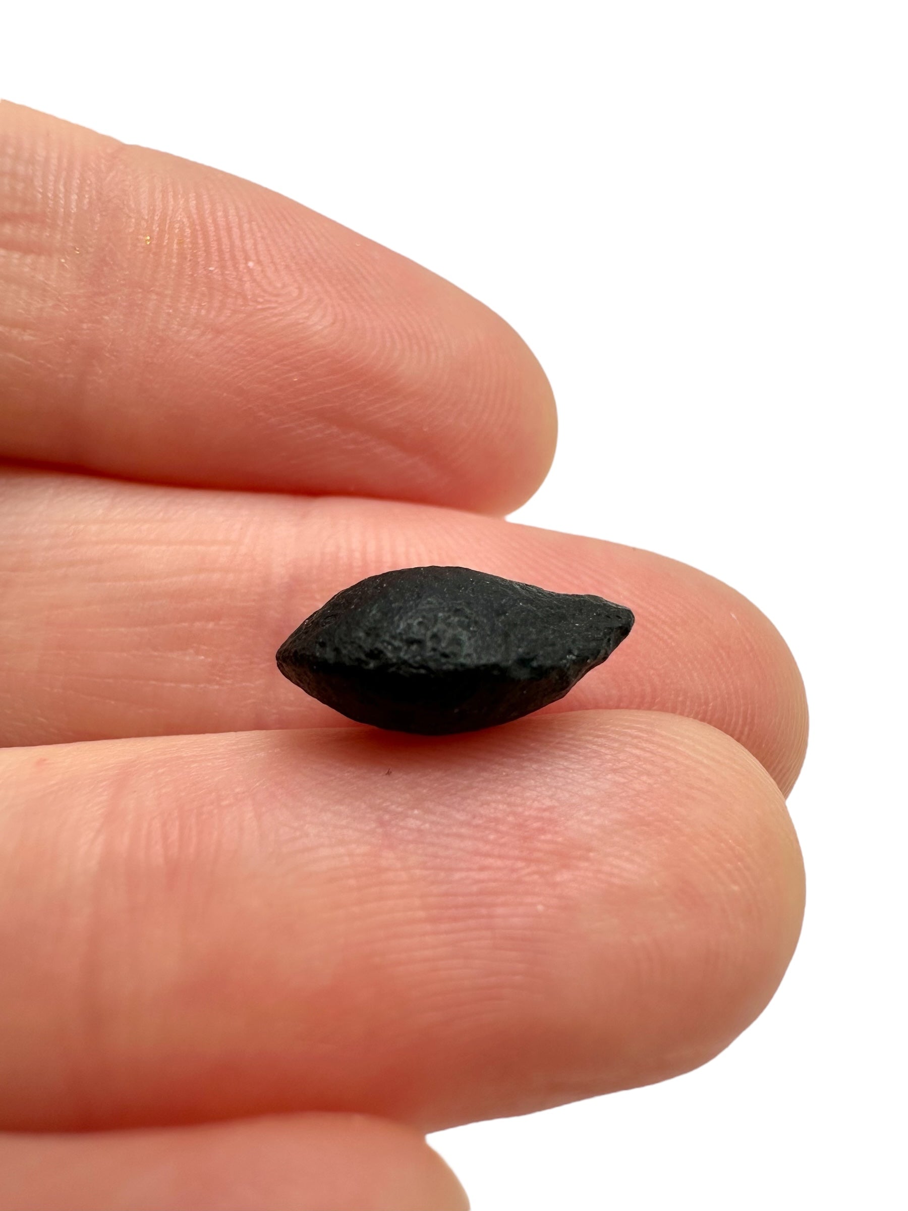 Australite "button" 0,6g – Kalgoorlie, Western Australia - AU114
