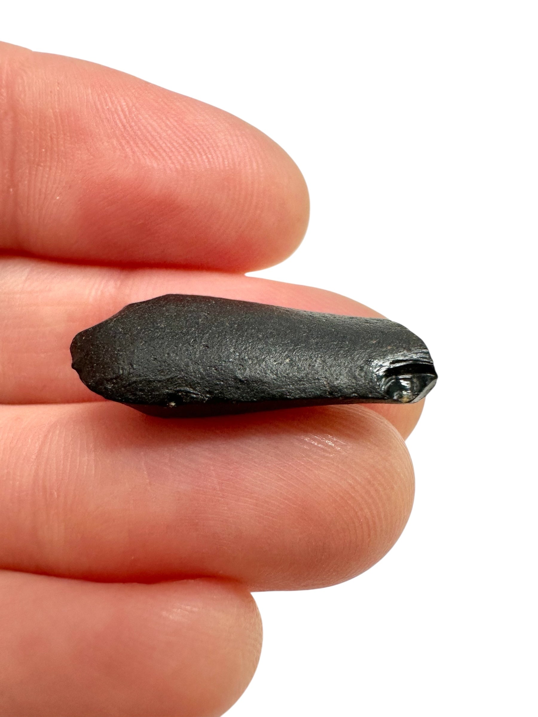 Australite "button" 1,7g – Kalgoorlie, Western Australia - AU115