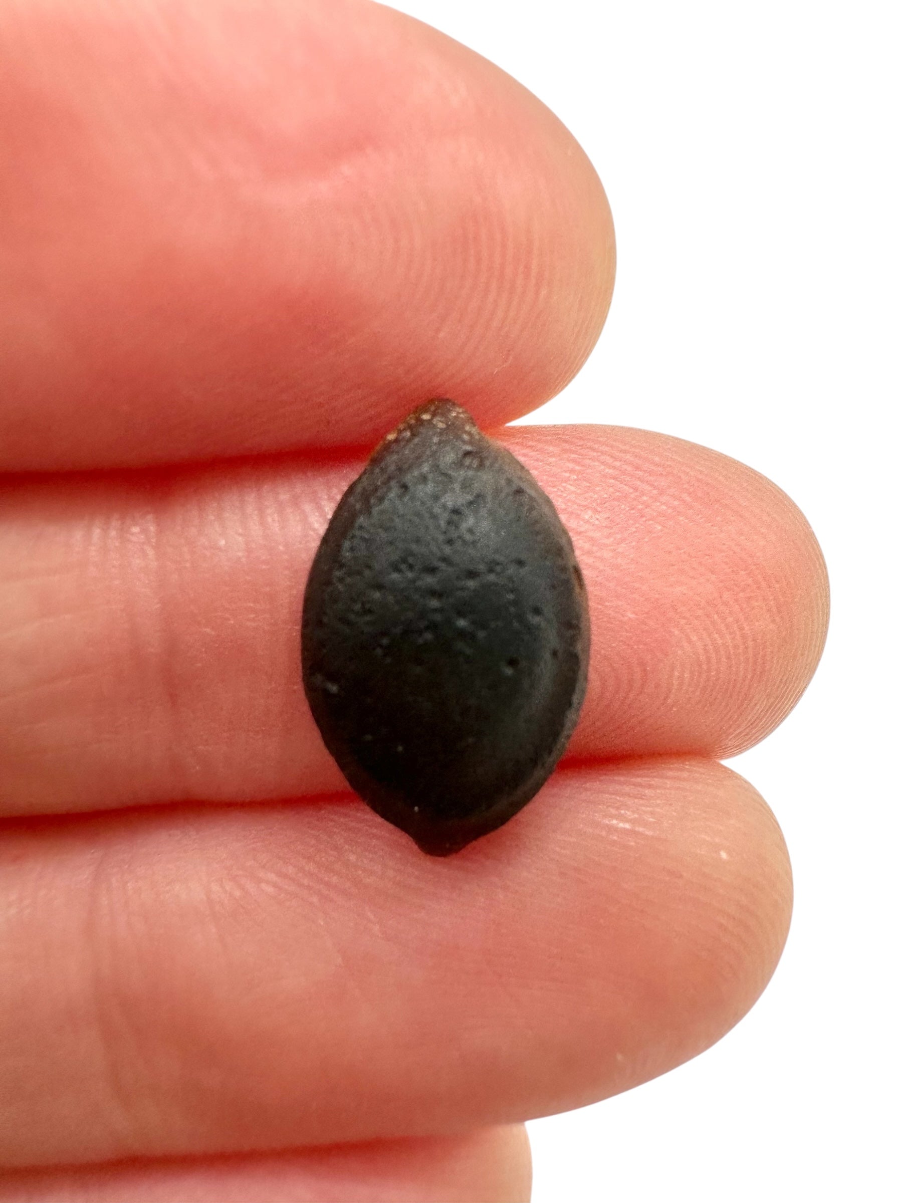 Australite "button" 0,4g – Kalgoorlie, Western Australia - AU117