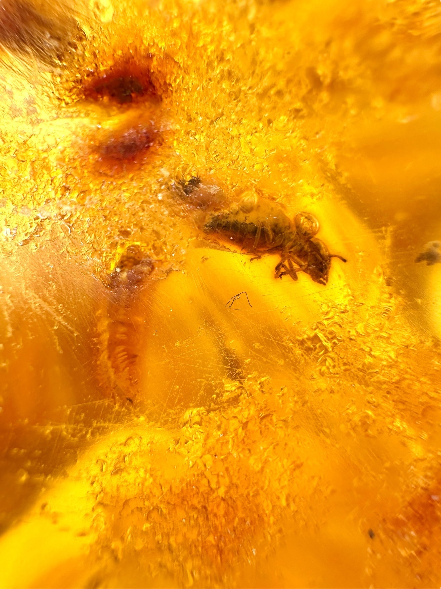 Insects in young amber (copal) 181,5g – Colombia