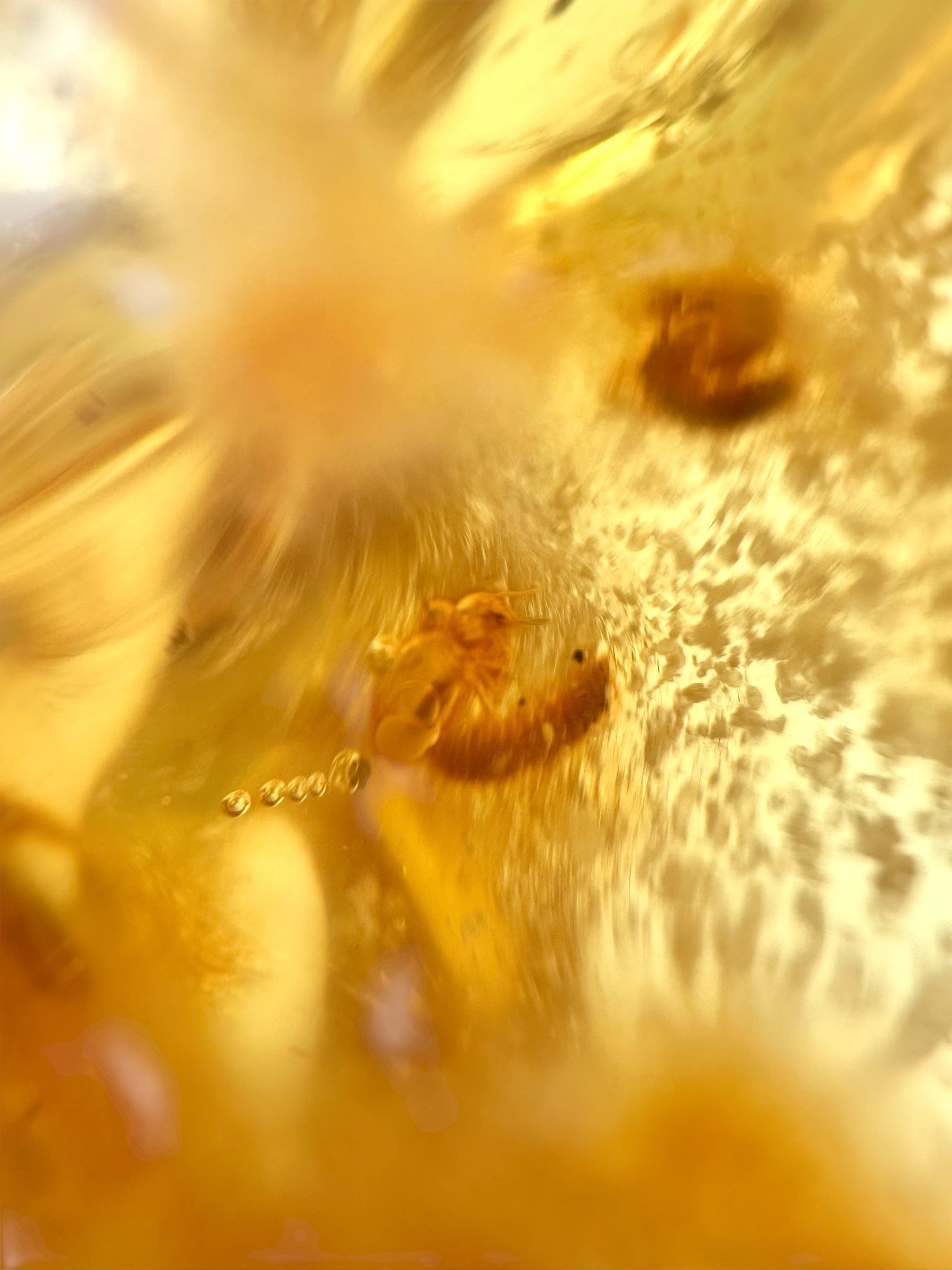 Insects in young amber (copal) 181,5g – Colombia - IK55