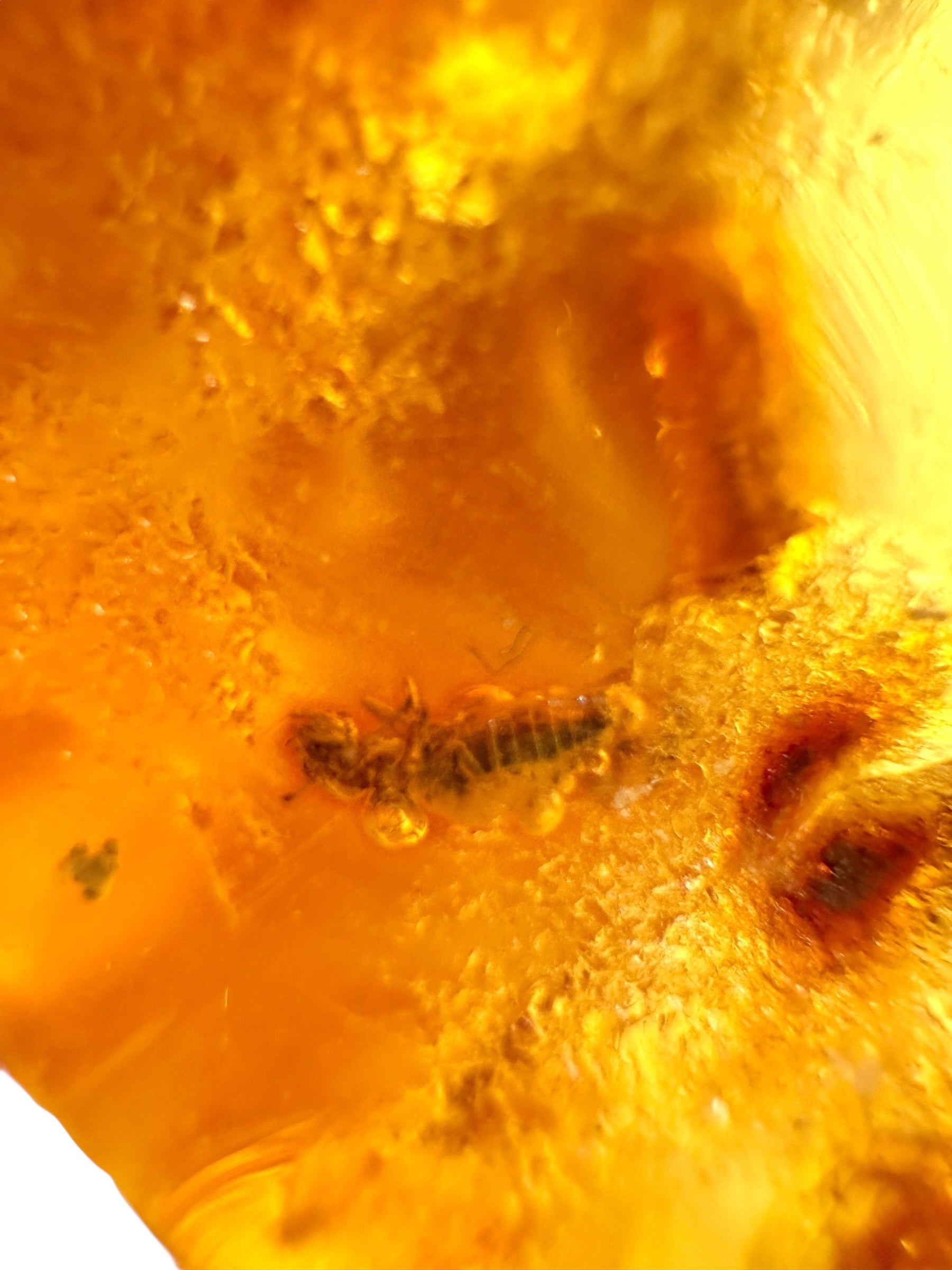 Insects in young amber (copal) 181,5g – Colombia - IK55
