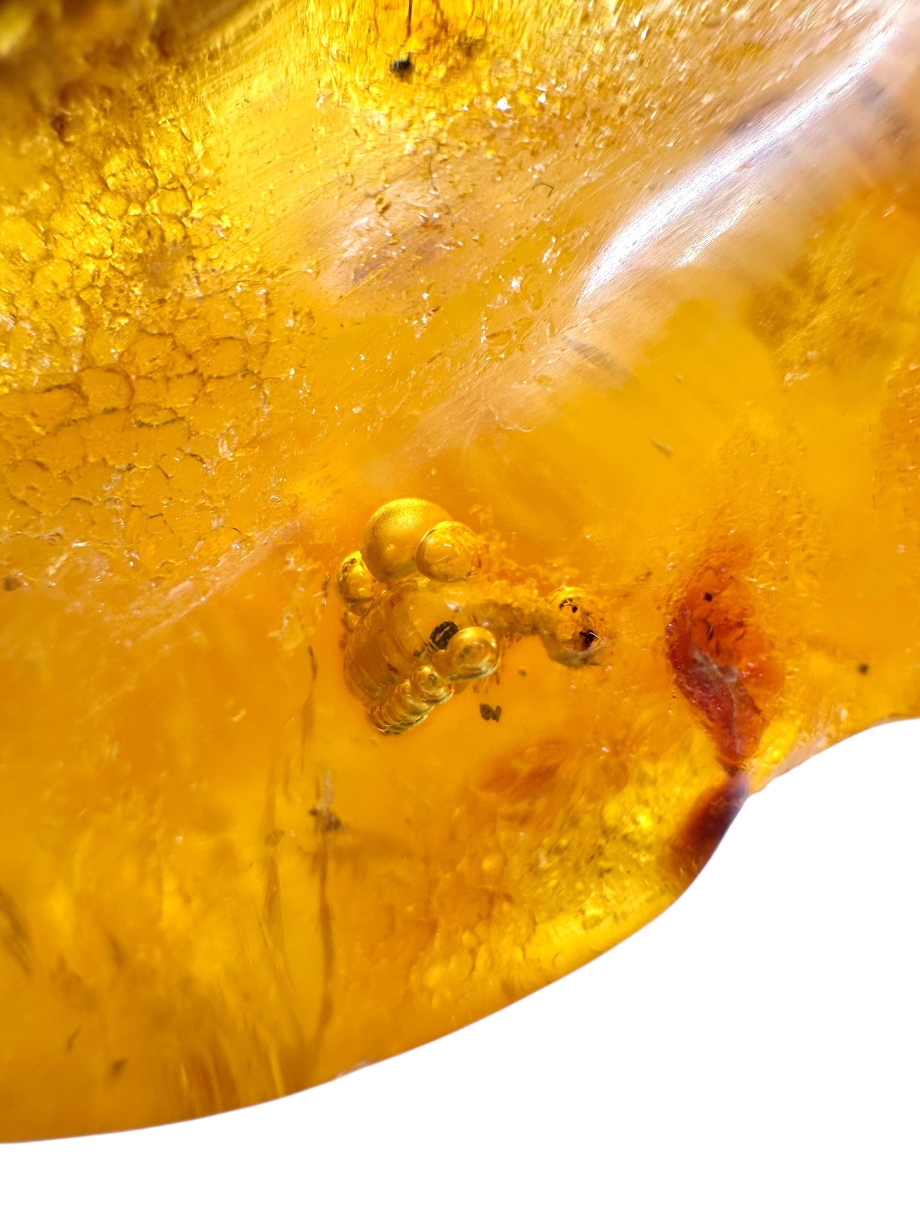 Insects in young amber (copal) 181,5g – Colombia - IK55