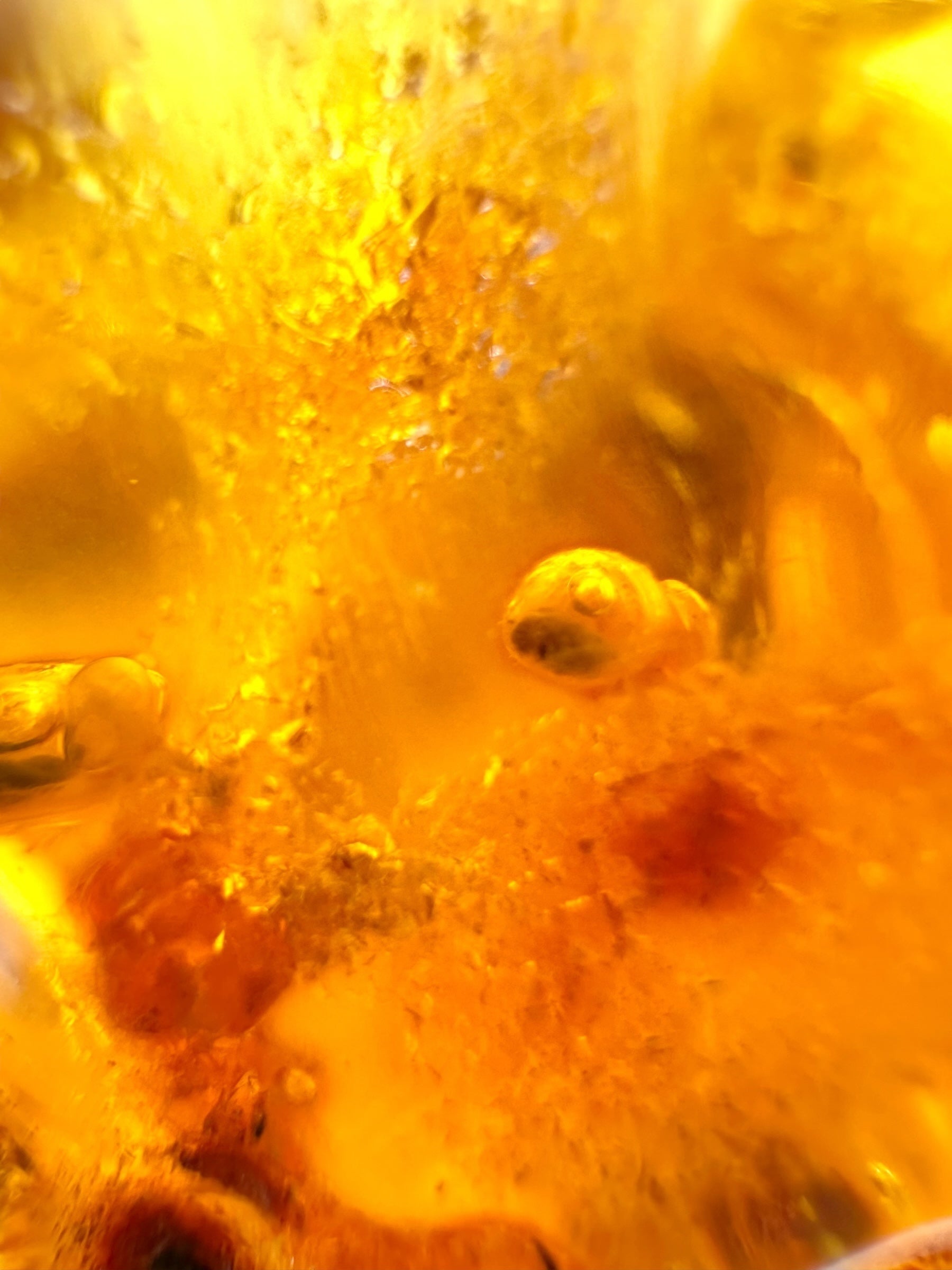 Insects in young amber (copal) 181,5g – Colombia - IK55