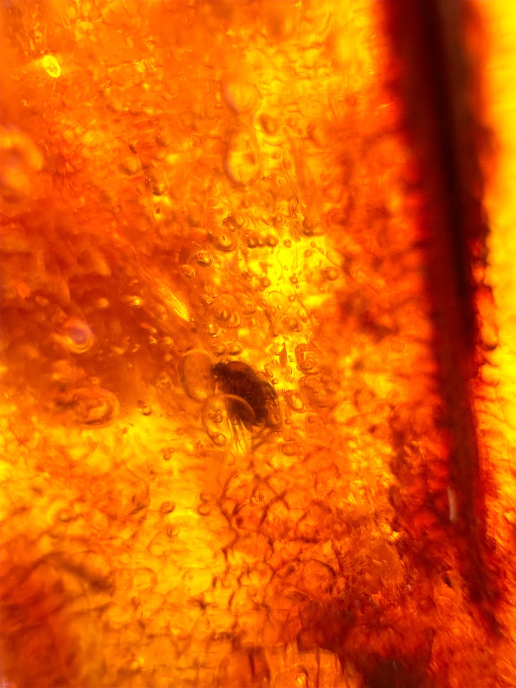 Insects in young amber (copal) 72,5g – Colombia - IK56