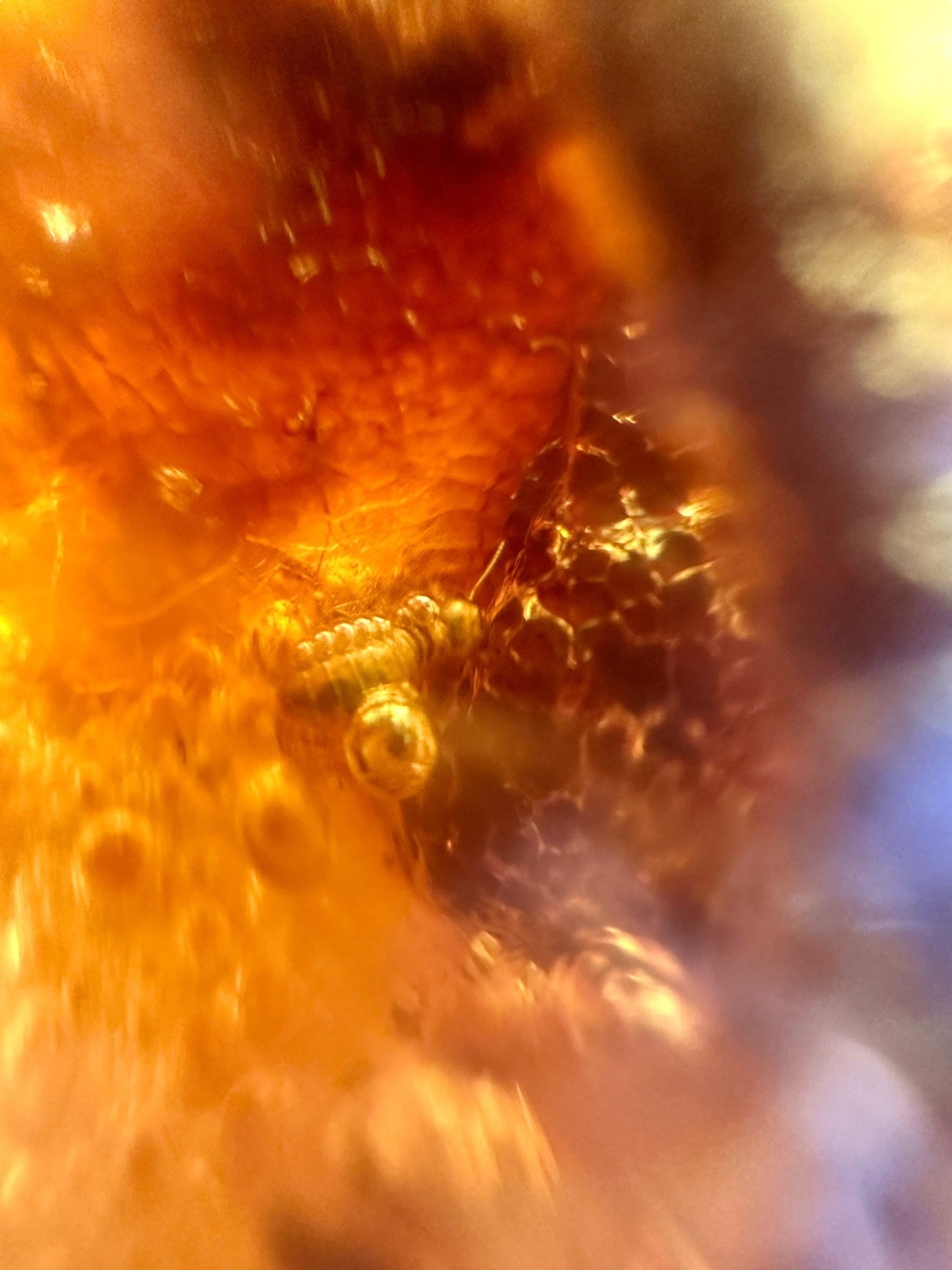 Insects in young amber (copal) 291,9g – Colombia - IK57