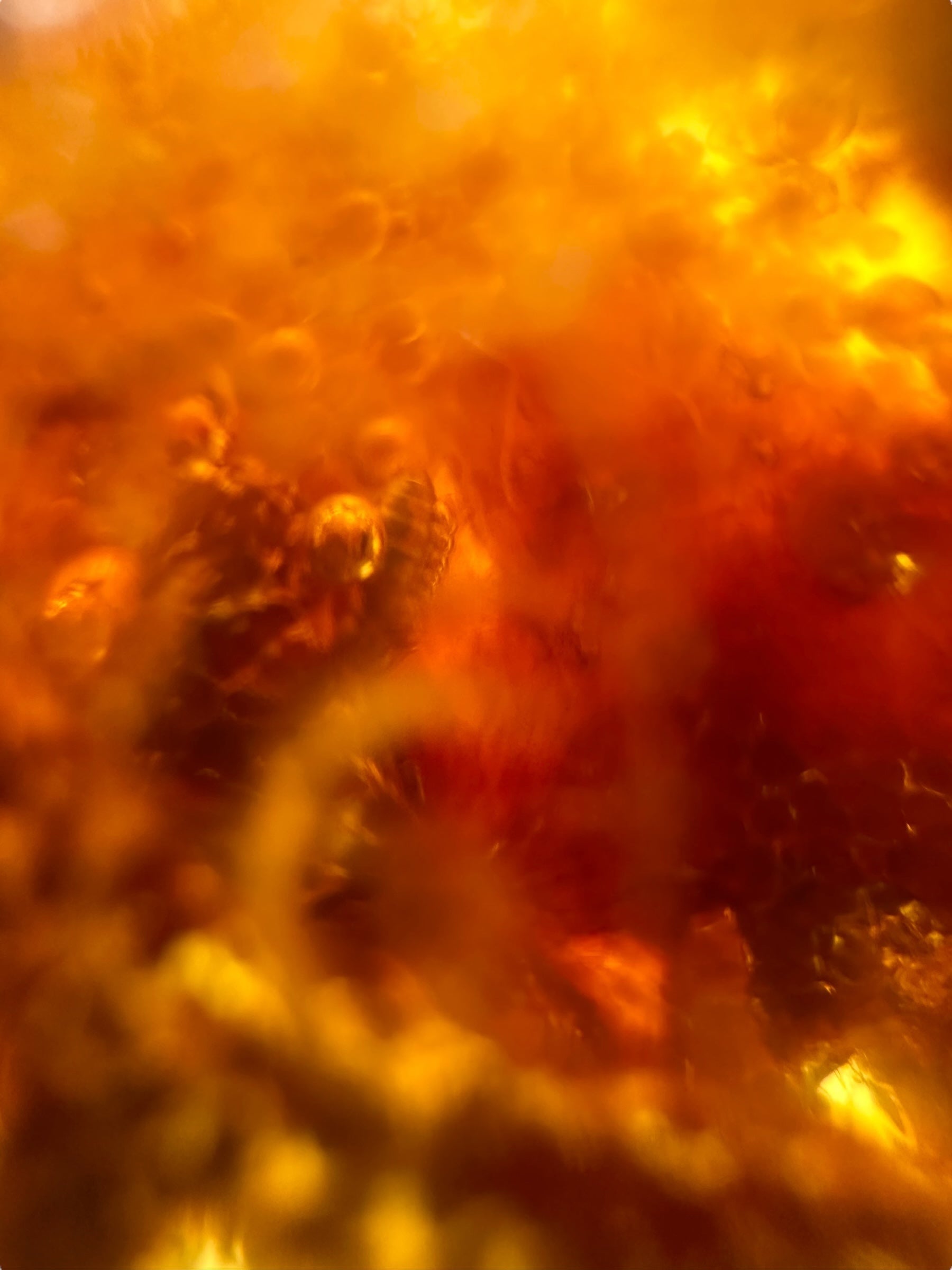 Insects in young amber (copal) 291,9g – Colombia - IK57