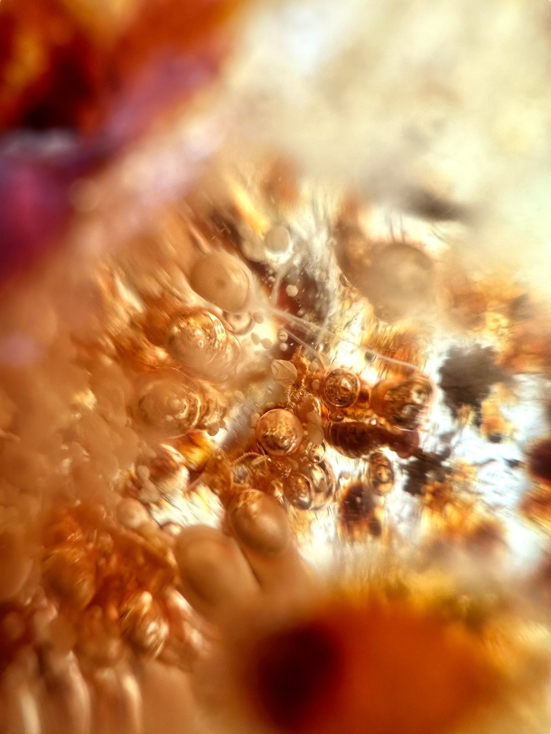 Insects in young amber (copal) 530g – Colombia - IK58