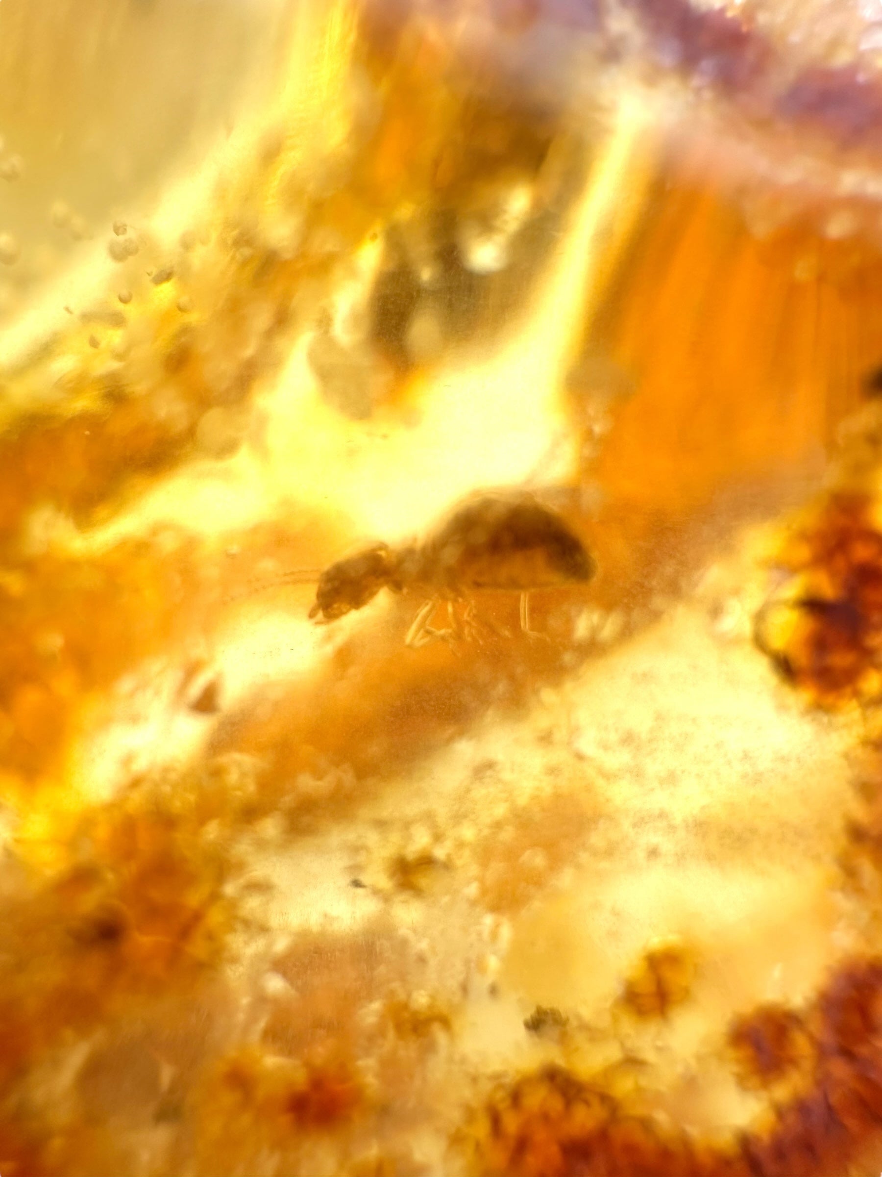 Insects in young amber (copal) 95,5g – Colombia - IK59
