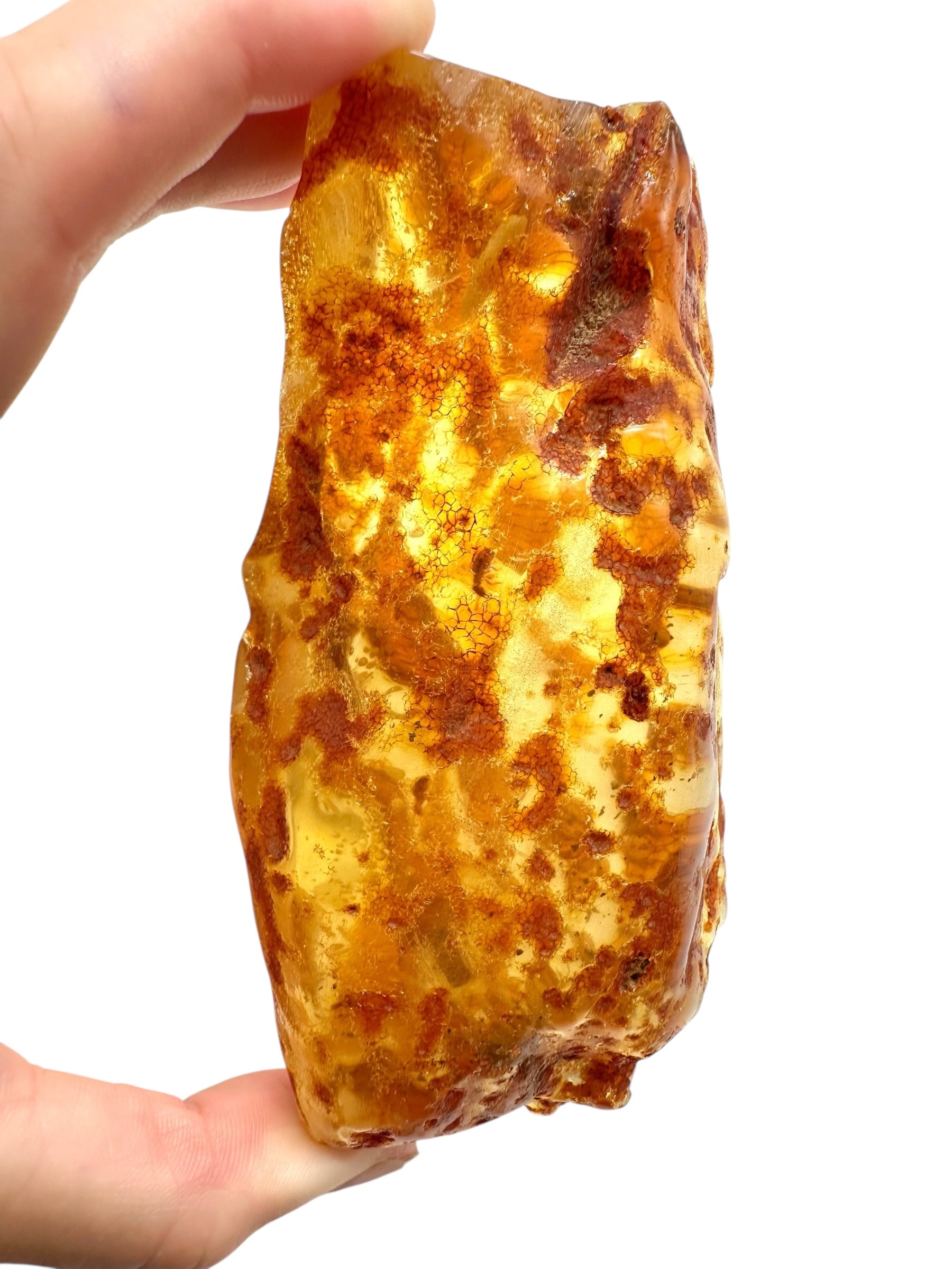 Insects in young amber (copal) 95,5g – Colombia