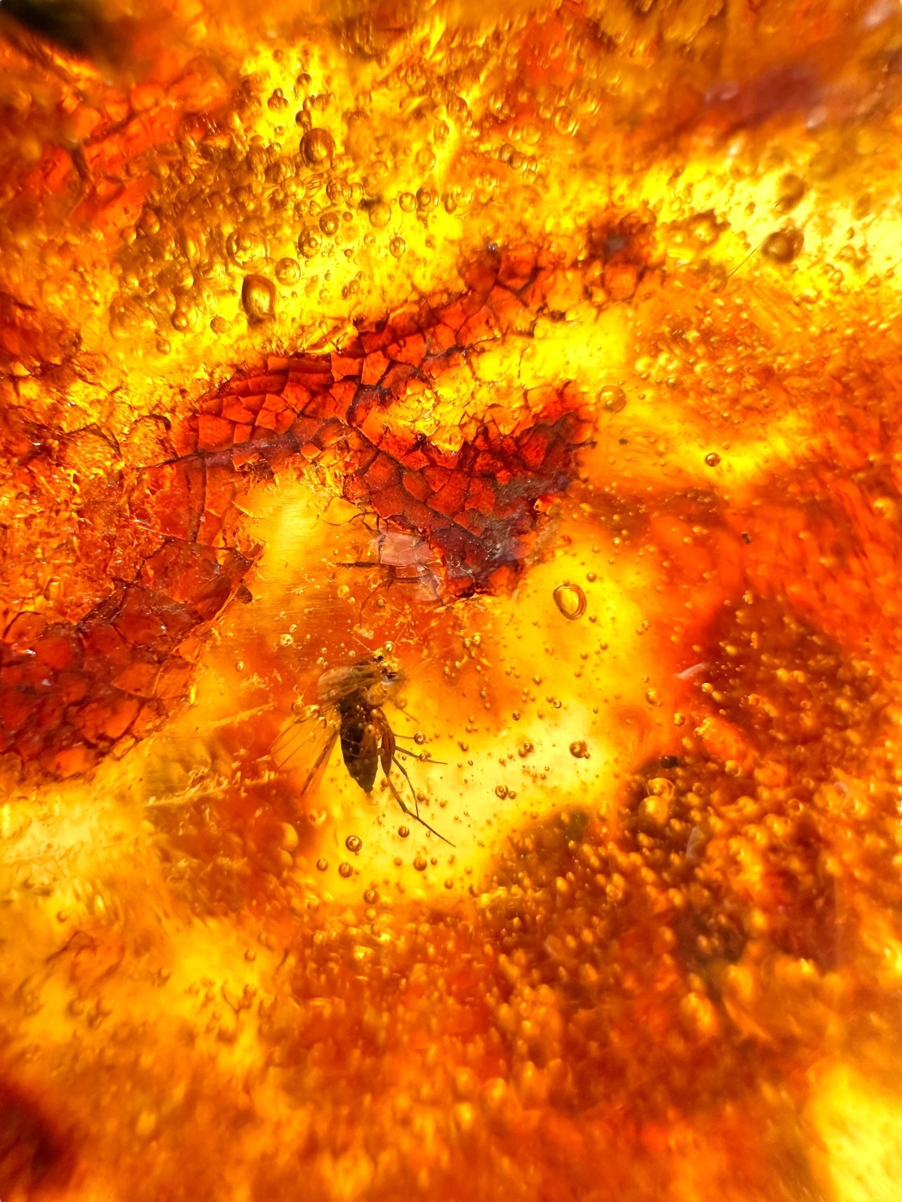 Insects in young amber (copal) 111,7g – Colombia - IK60