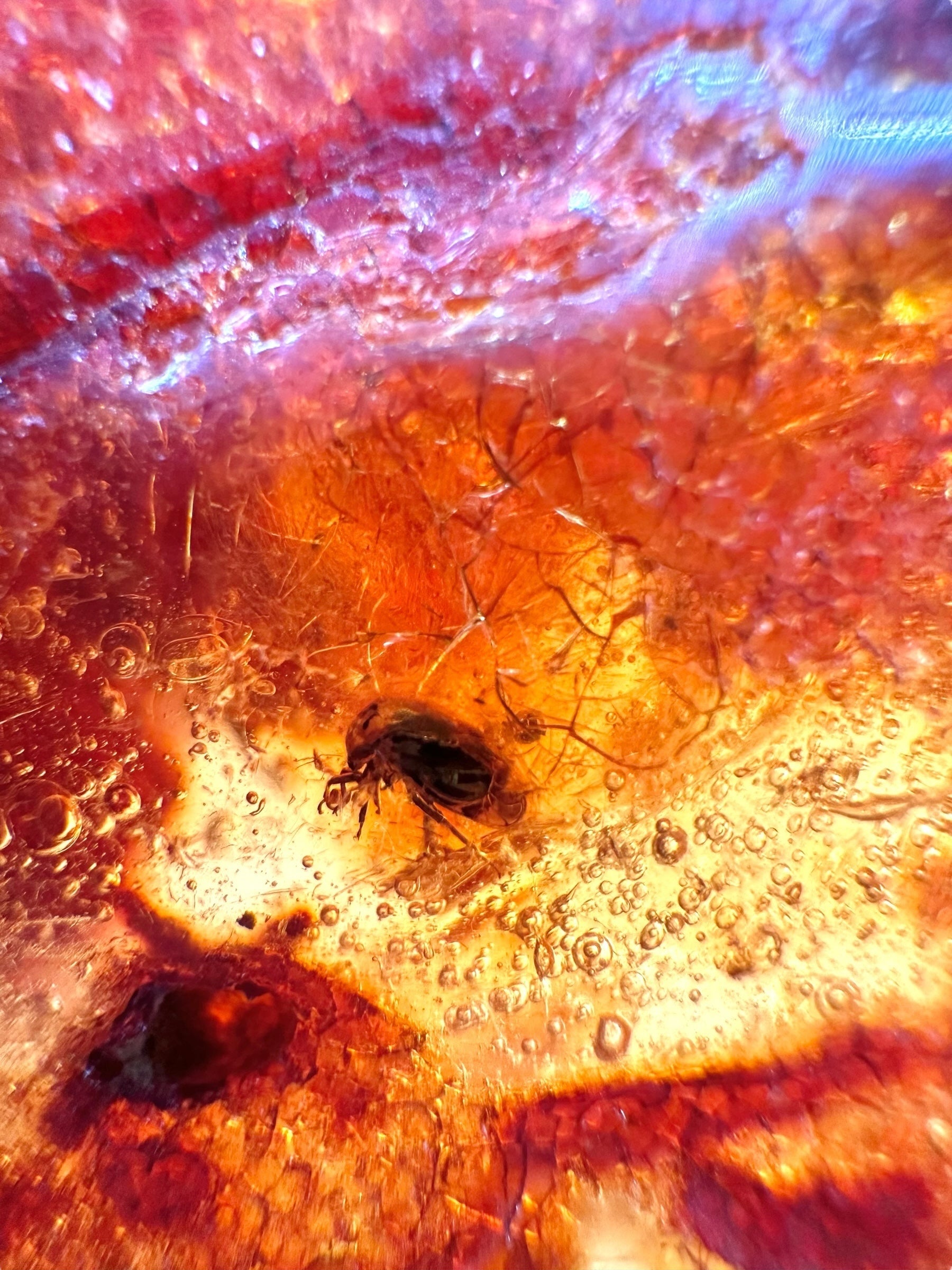 Insects in young amber (copal) 111,7g – Colombia - IK60