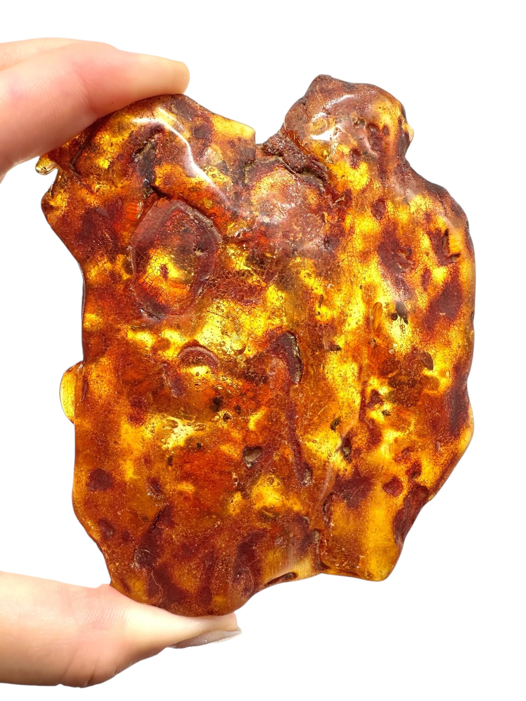 Insects in young amber (copal) 111,7g – Colombia
