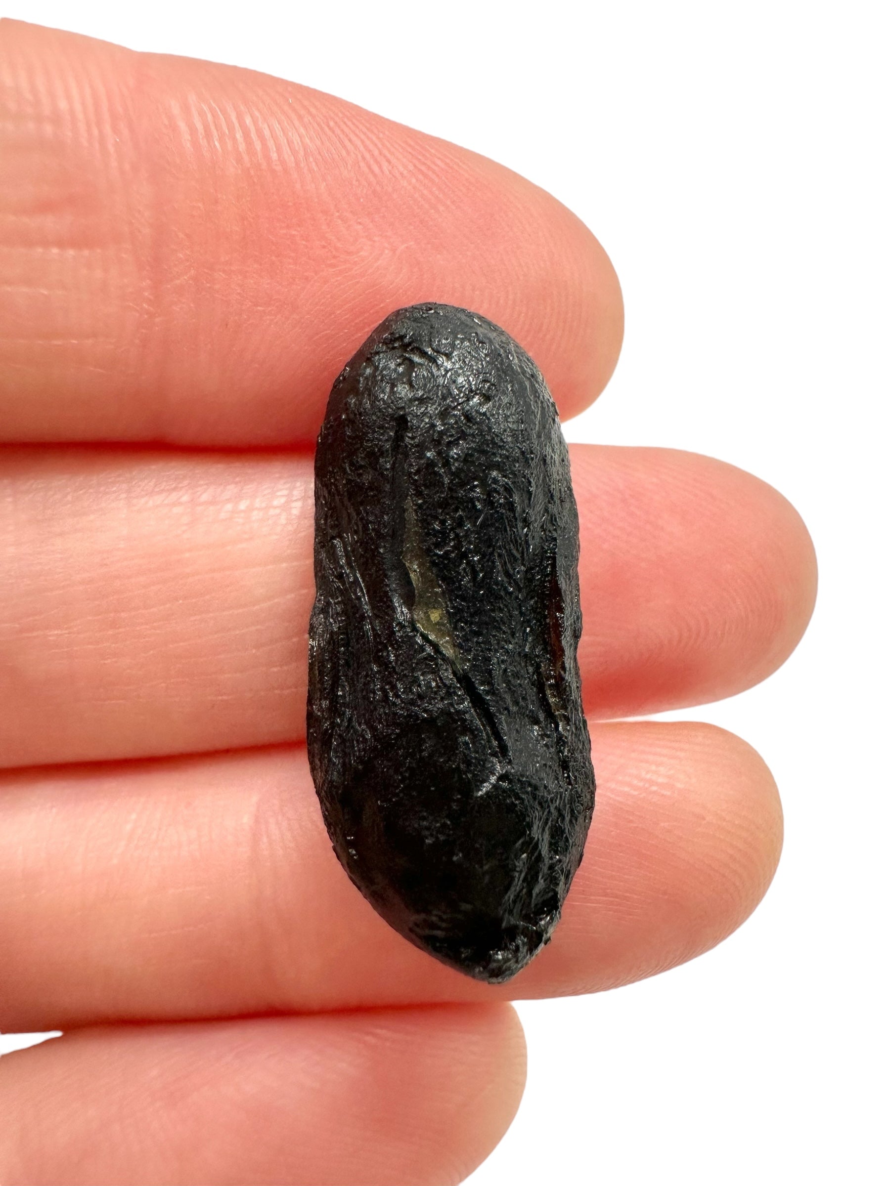 Australite "button" 2,4g – dumbell – Kalgoorlie, Western Australia