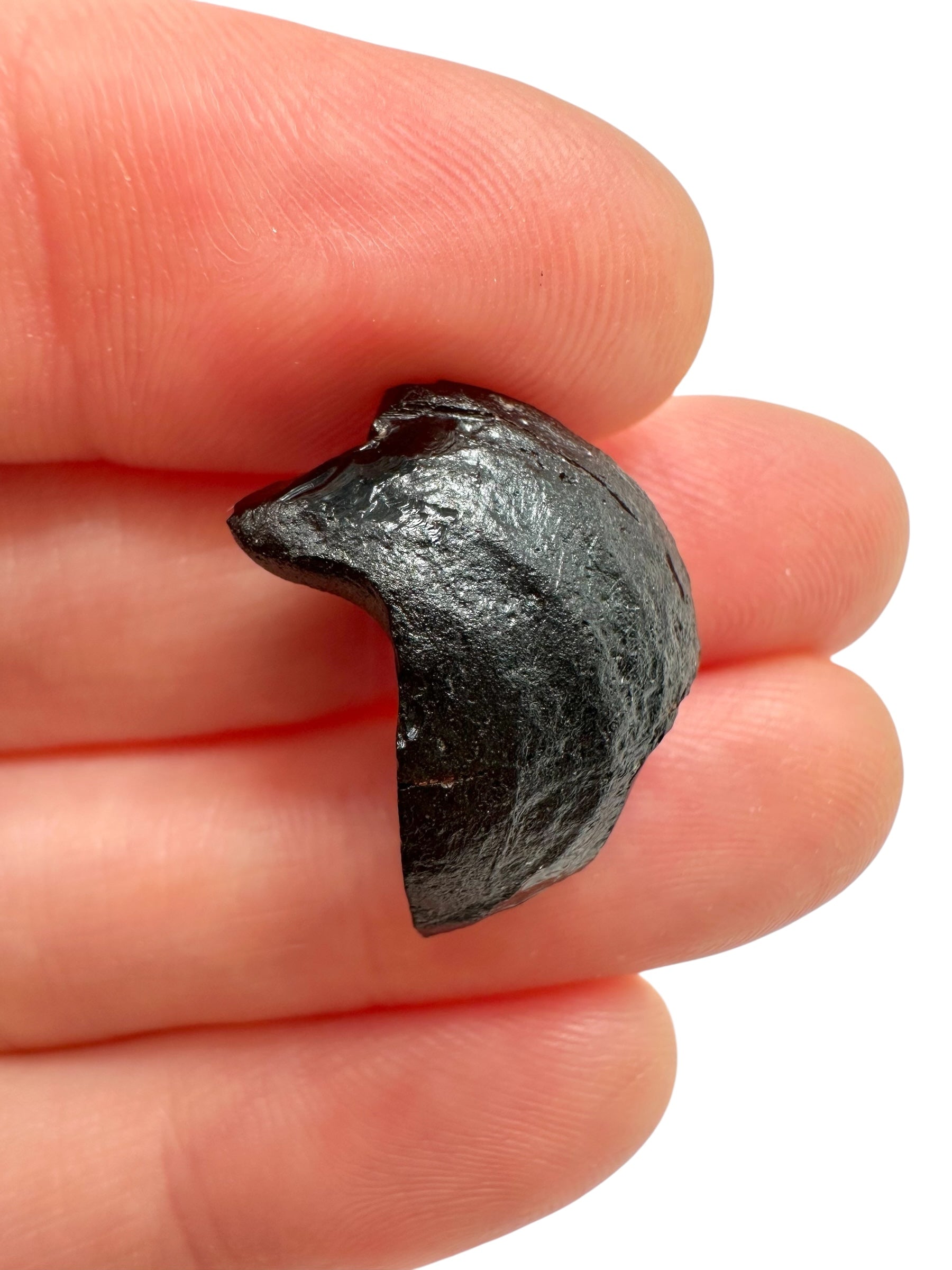 Australite "button" 2,2g – Kalgoorlie, Western Australia - AU119