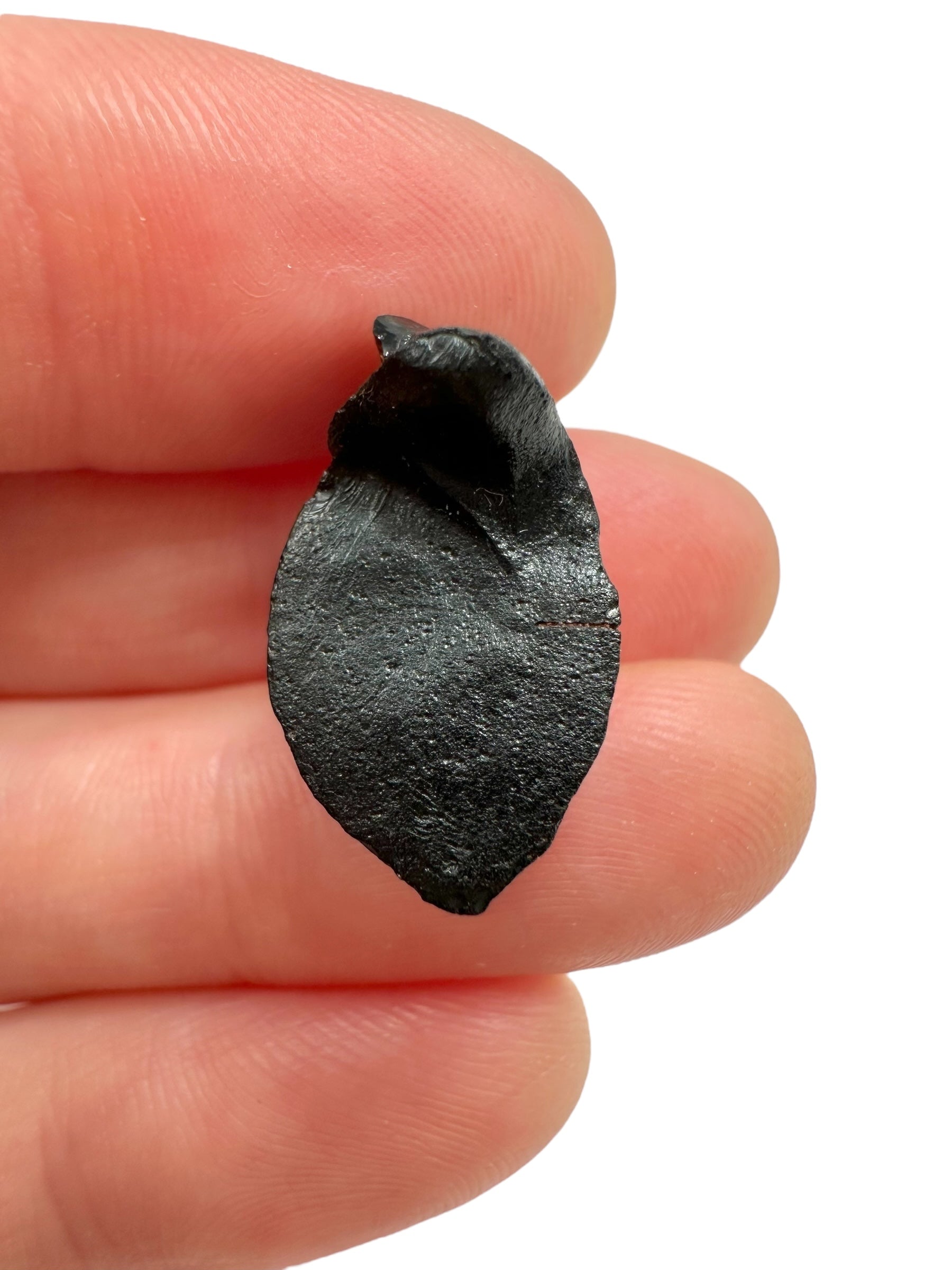 Australite "button" 2,2g – Kalgoorlie, Western Australia - AU119
